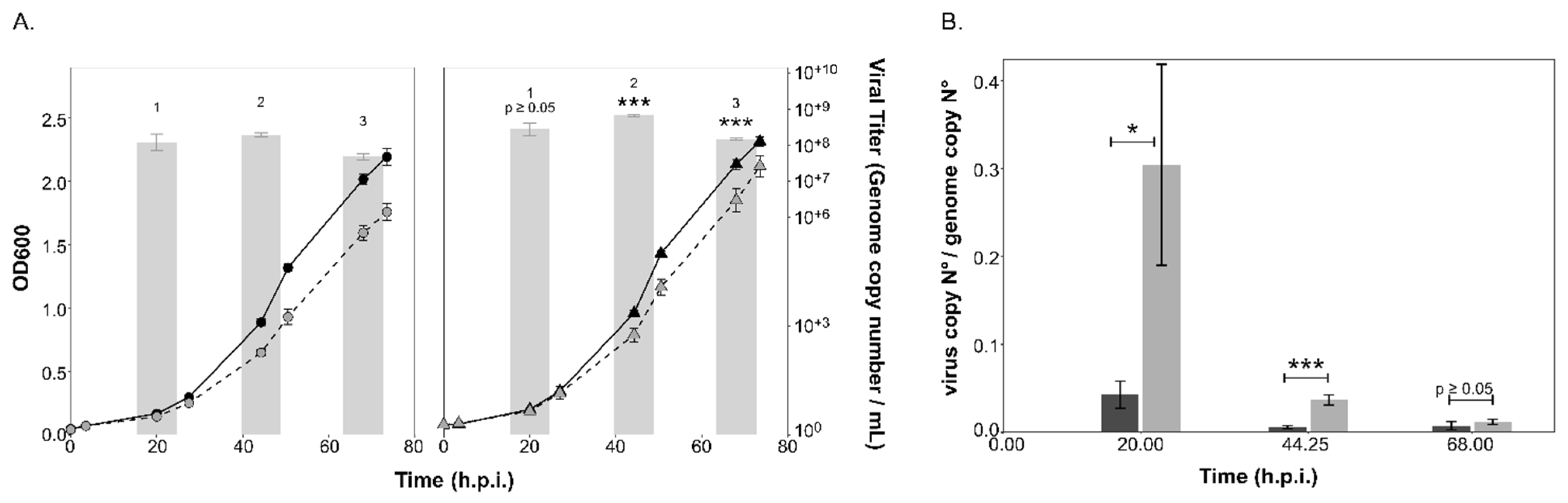 Viruses 15 01469 g004