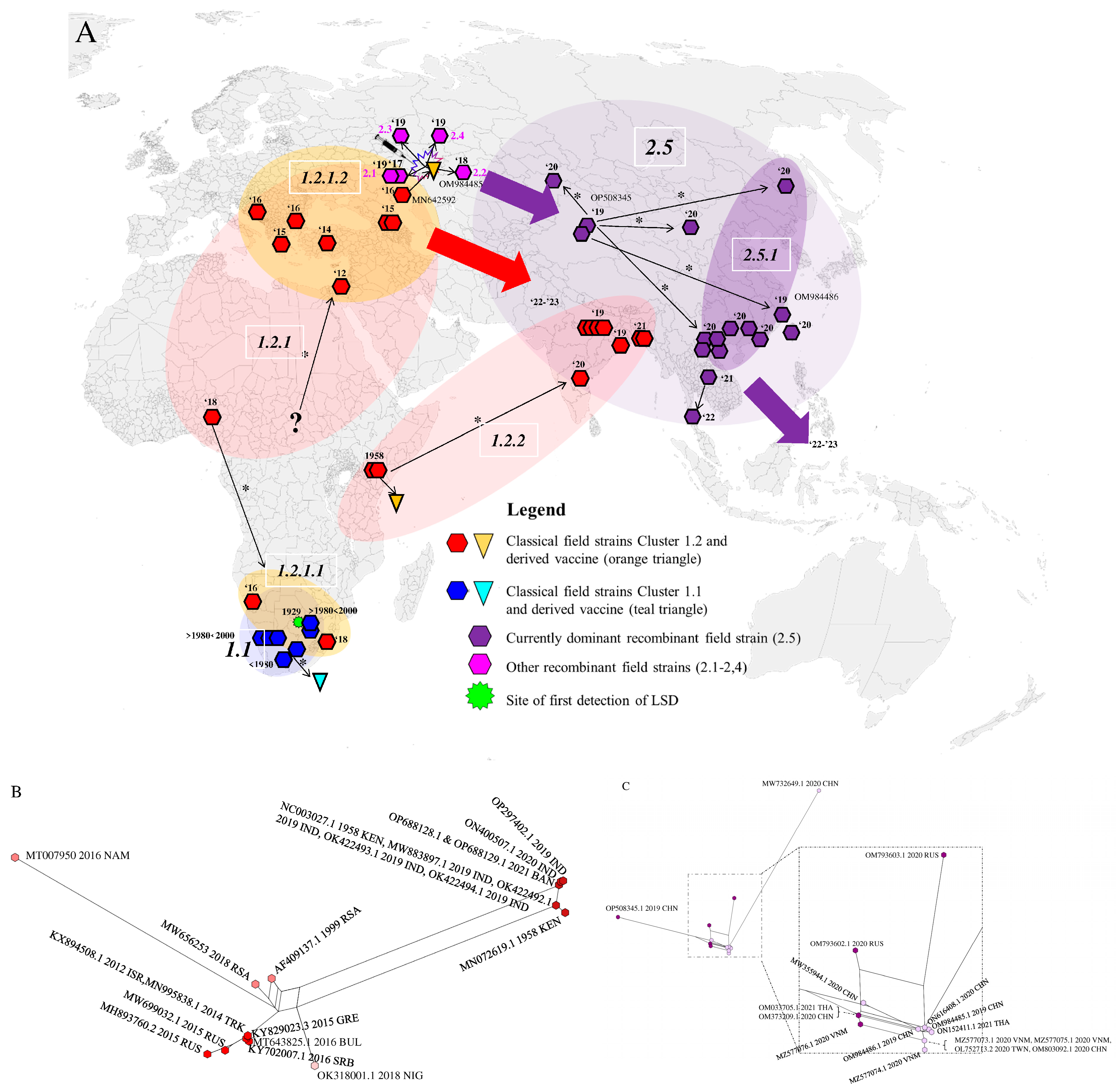 Viruses 15 01471 g002