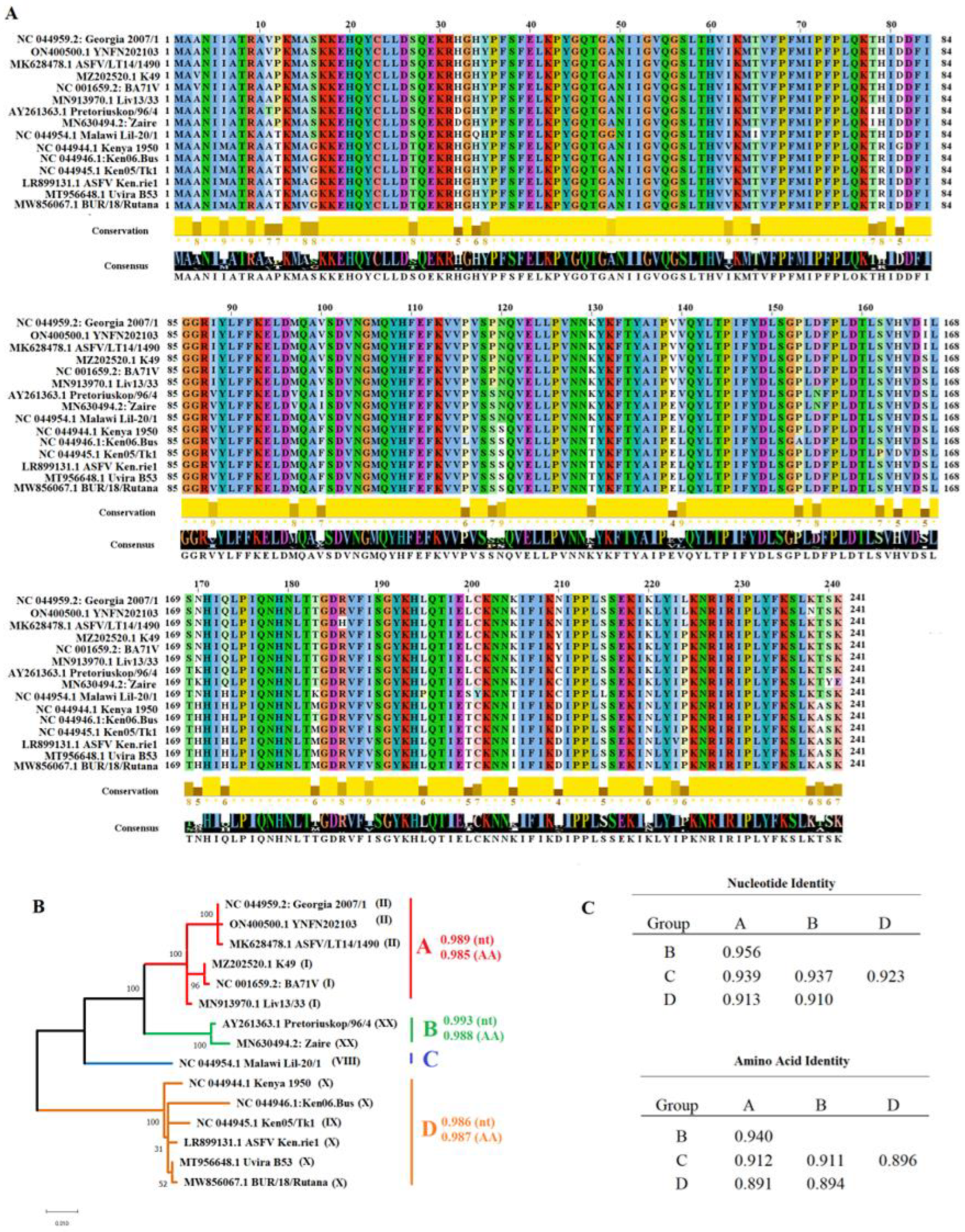 Viruses 15 01477 g001