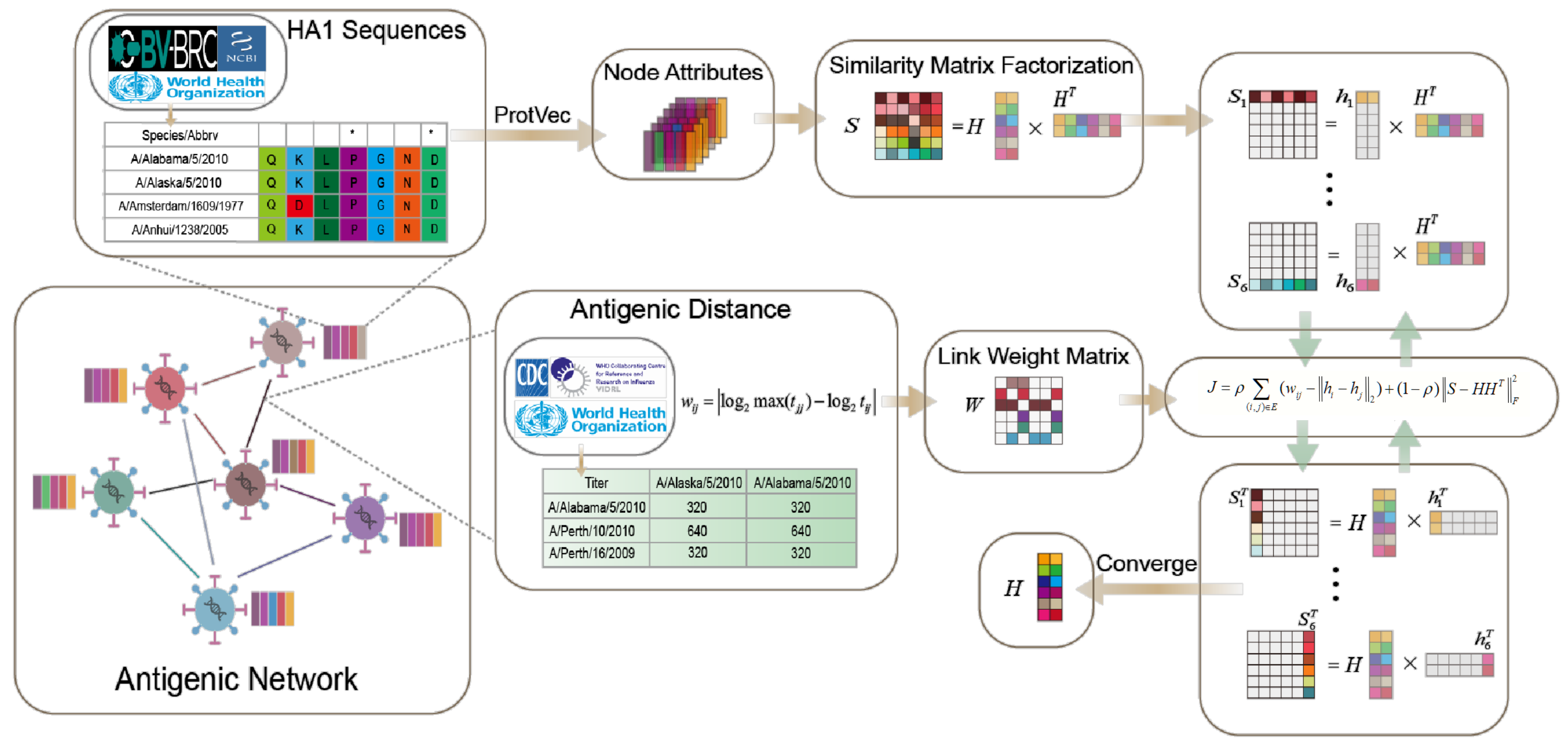 Viruses 15 01478 g001