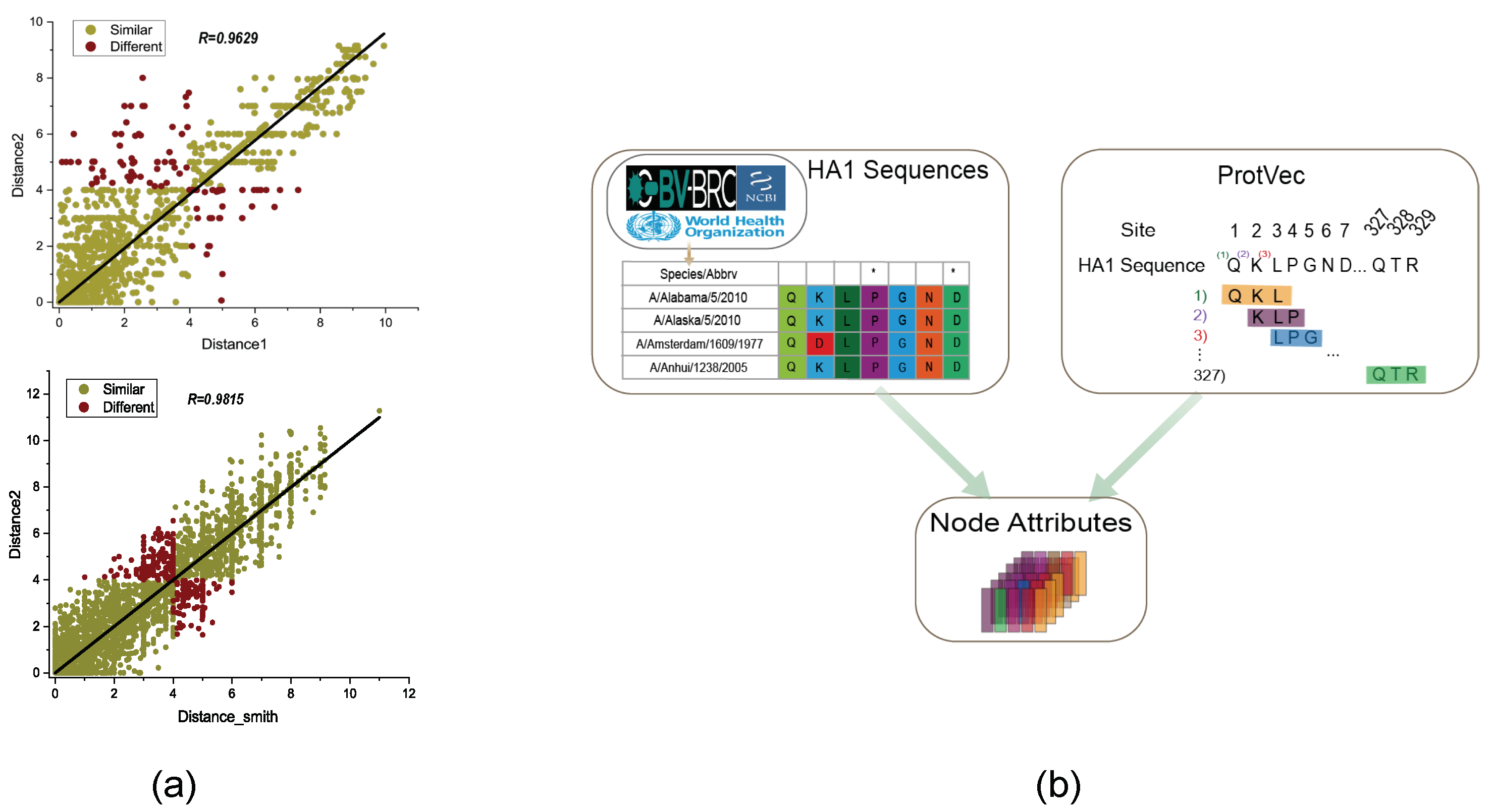 Viruses 15 01478 g002