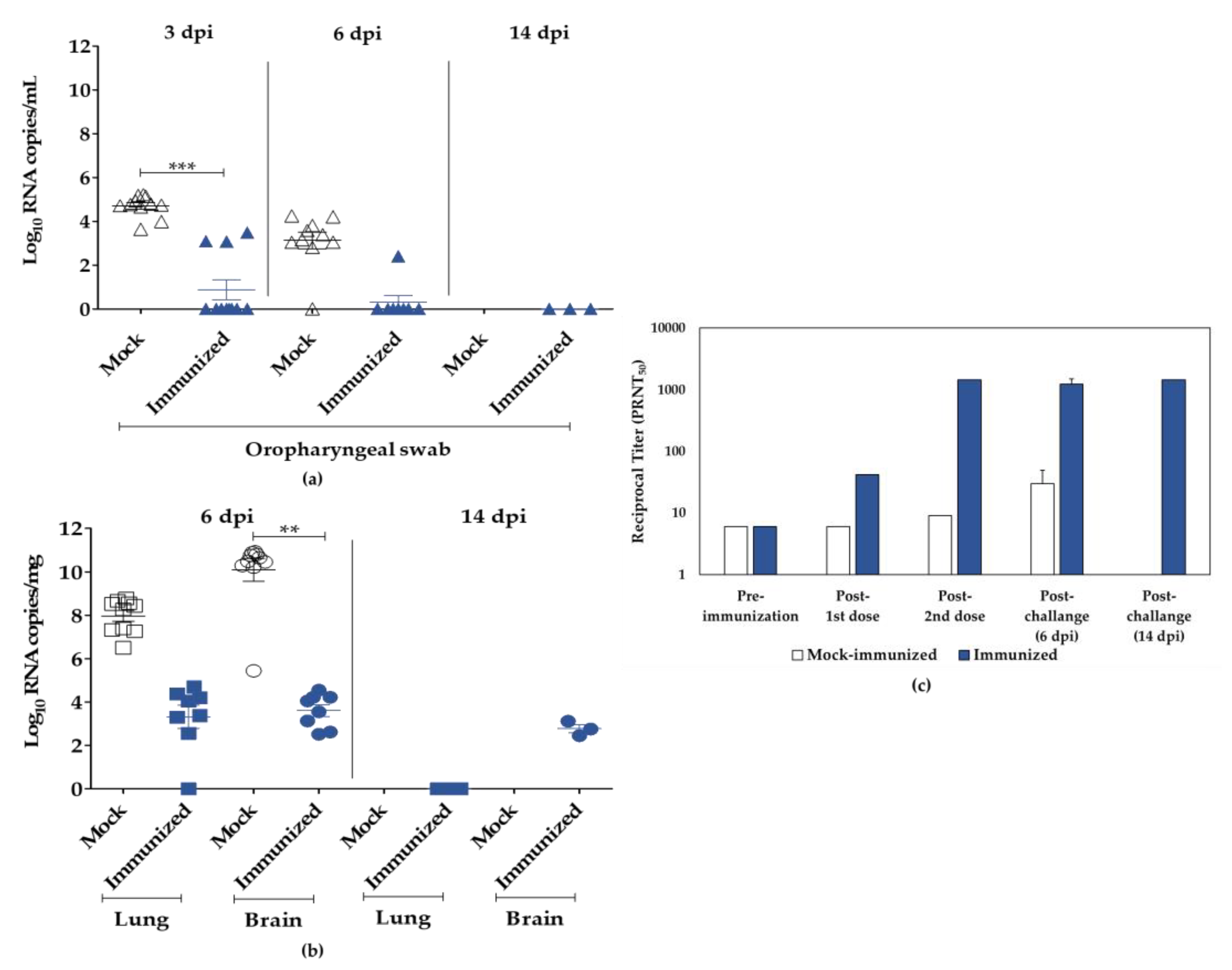 Viruses 15 01486 g007 Viruses 15 01486 g007