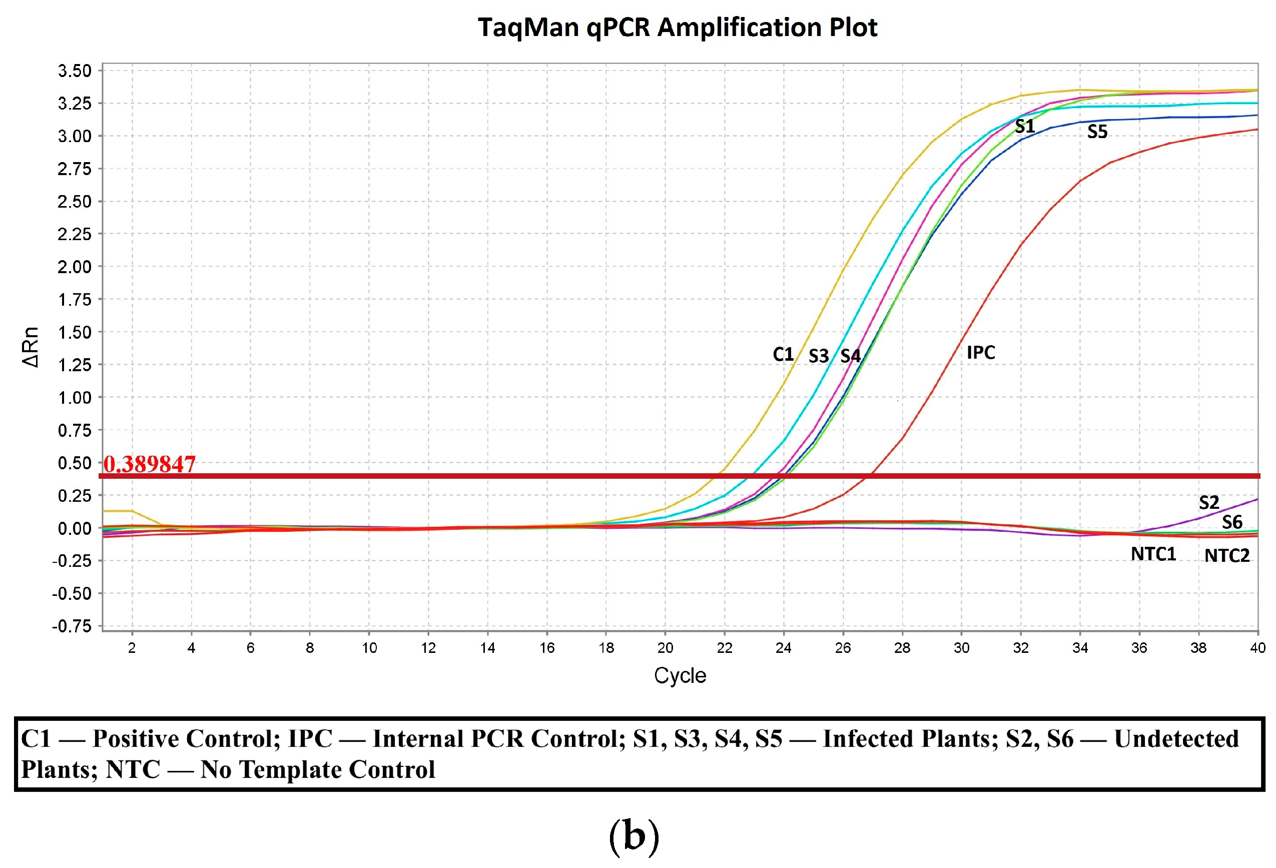 Viruses 15 01487 g002b Viruses 15 01487 g002b