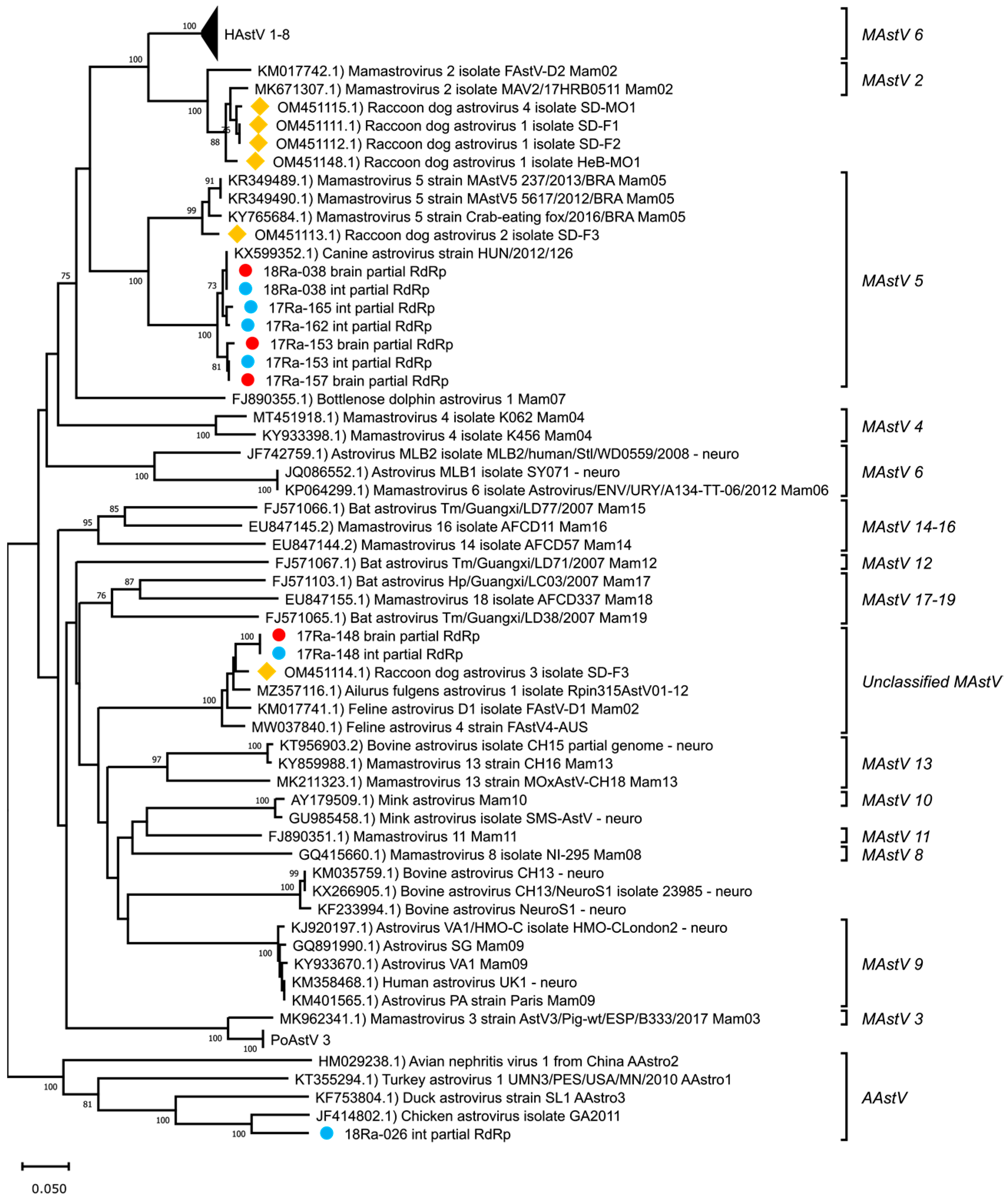 Viruses 15 01488 g001