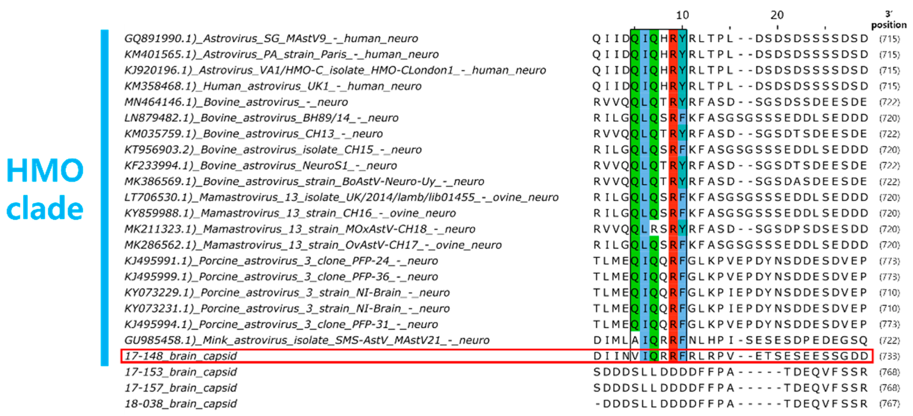 Viruses 15 01488 g005