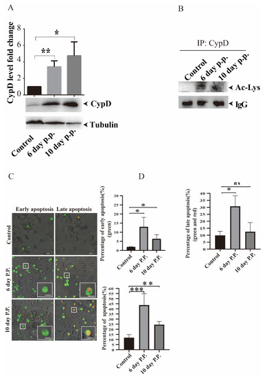 Viruses 15 01491 g001
