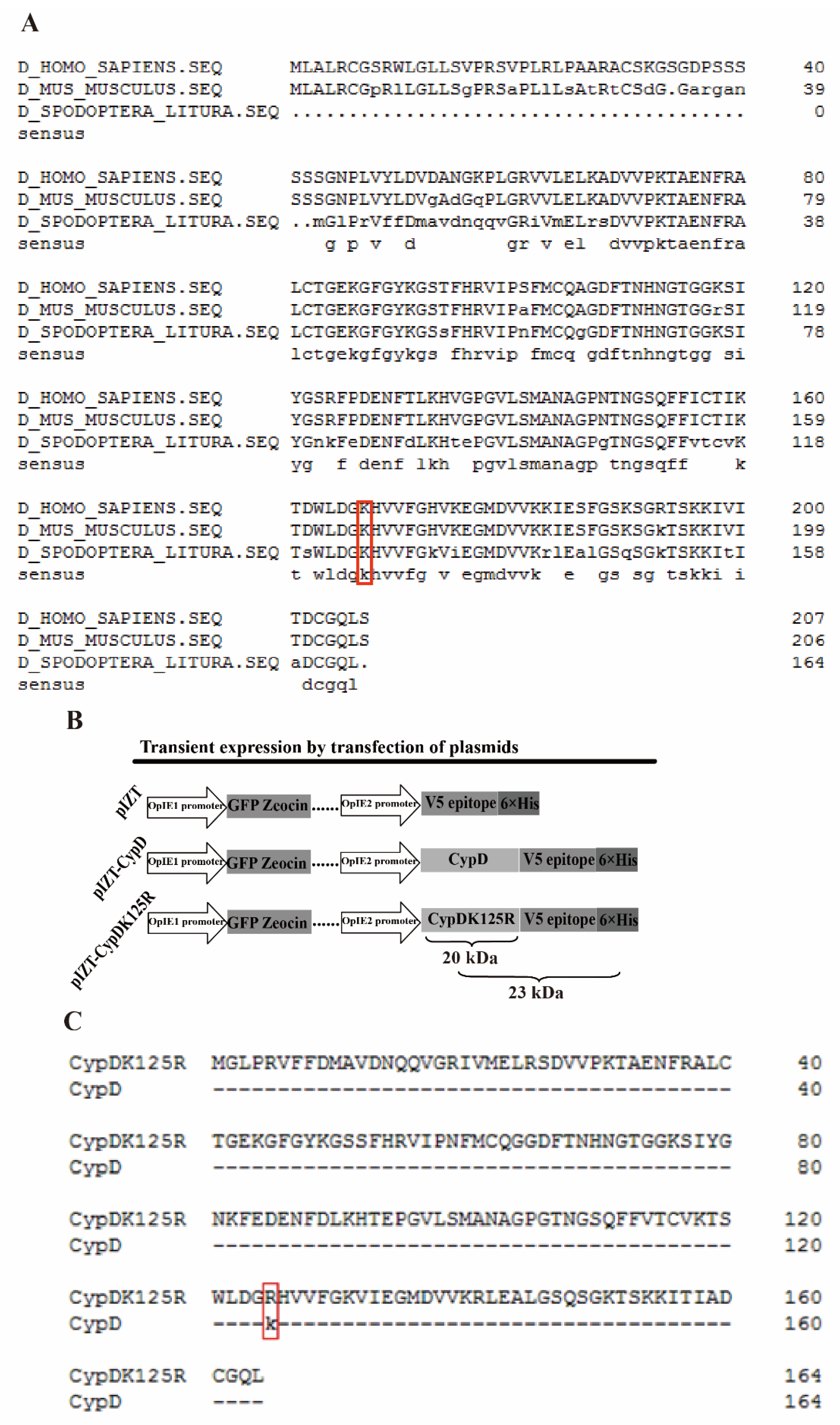 Viruses 15 01491 g004