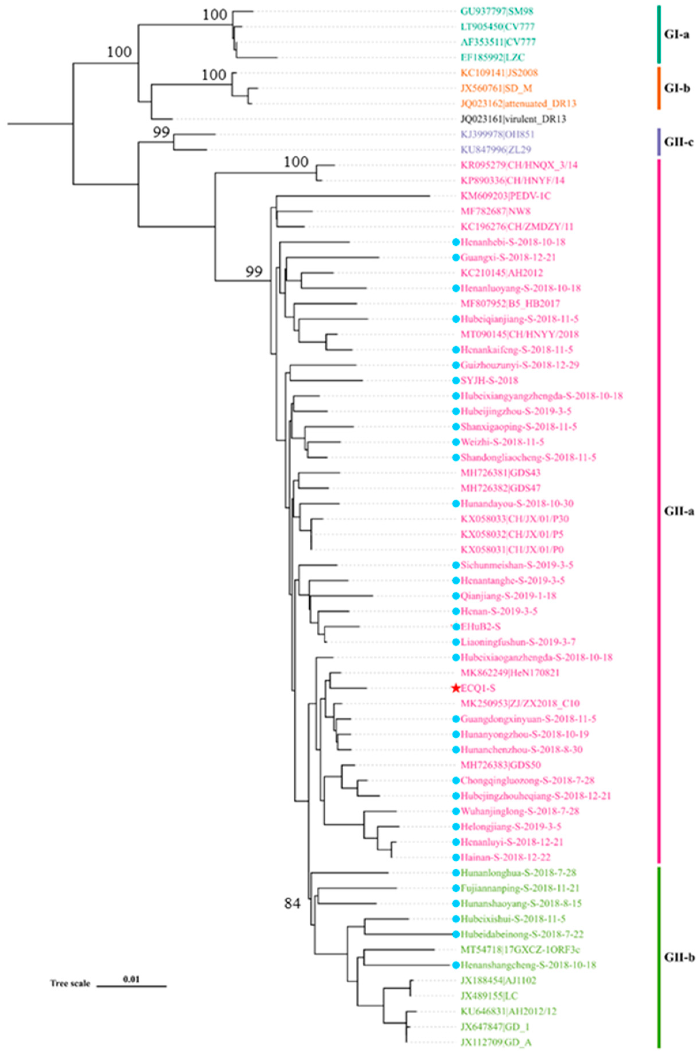 Viruses 15 01492 g002