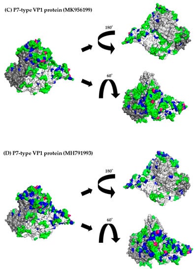 Viruses 15 01497 g005b Viruses 15 01497 g005b