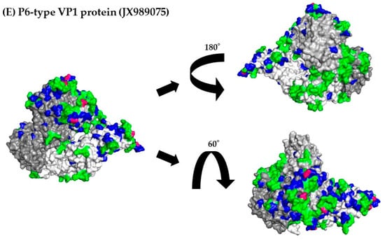Viruses 15 01497 g005c