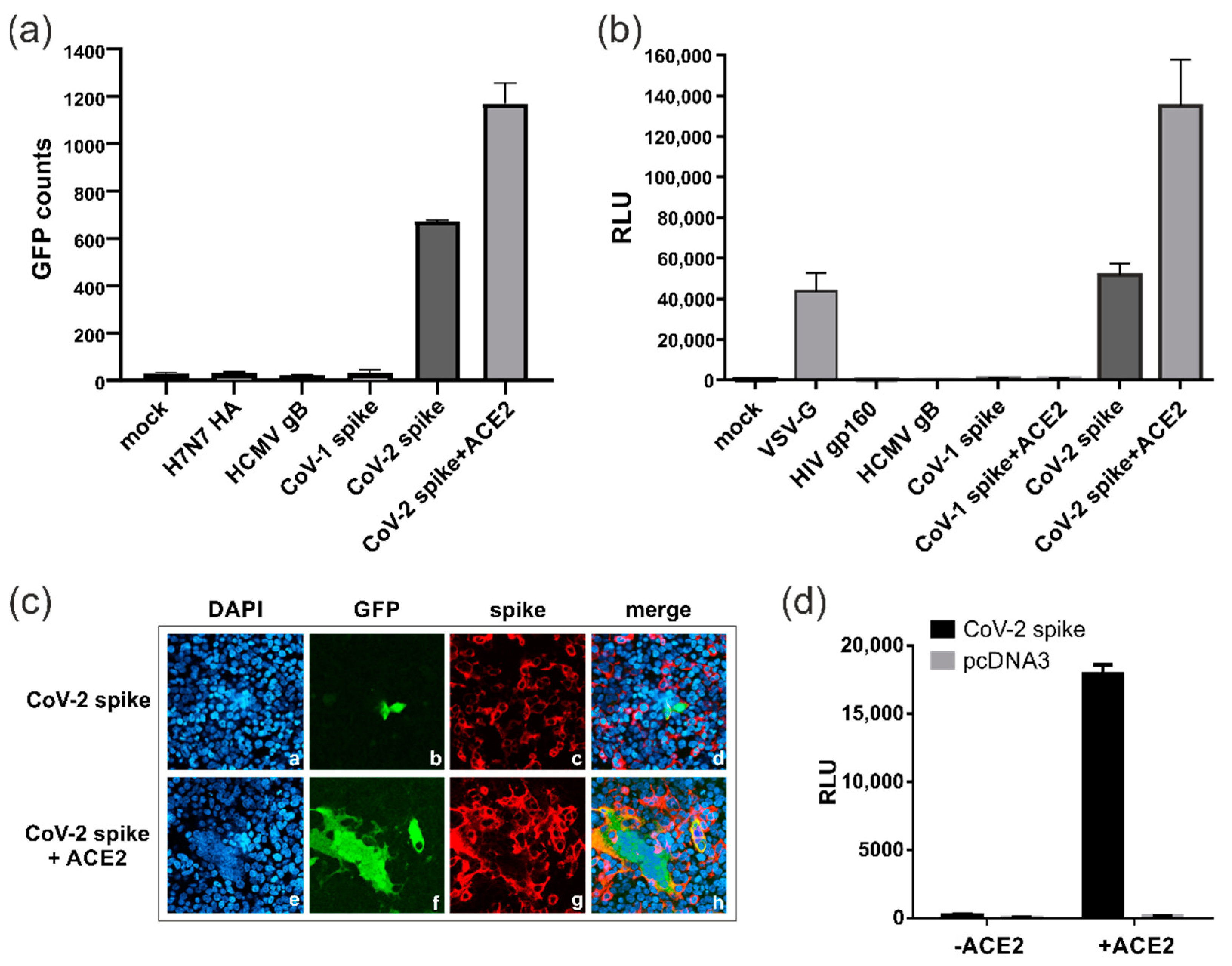 Viruses 15 01500 g002