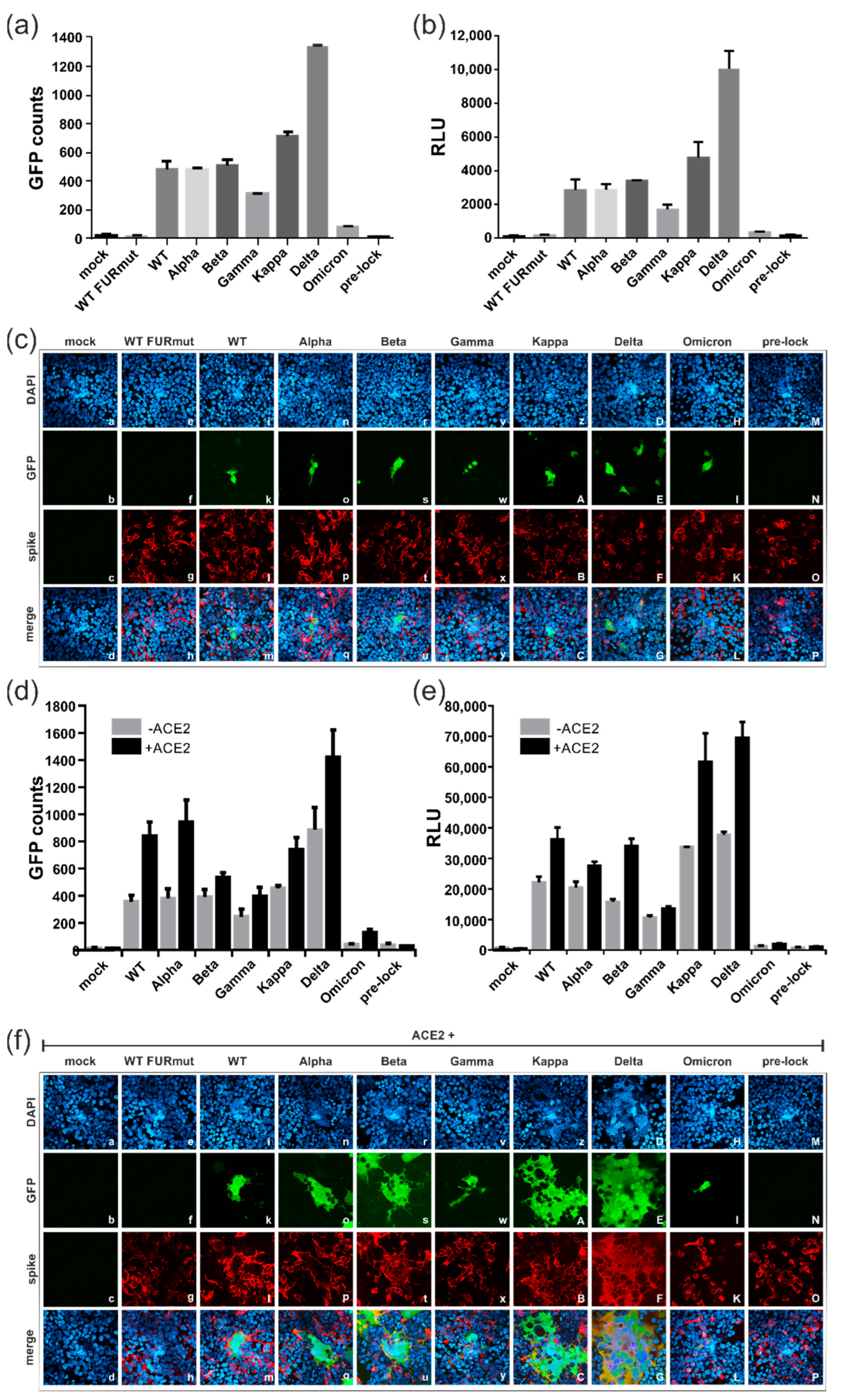 Viruses 15 01500 g004