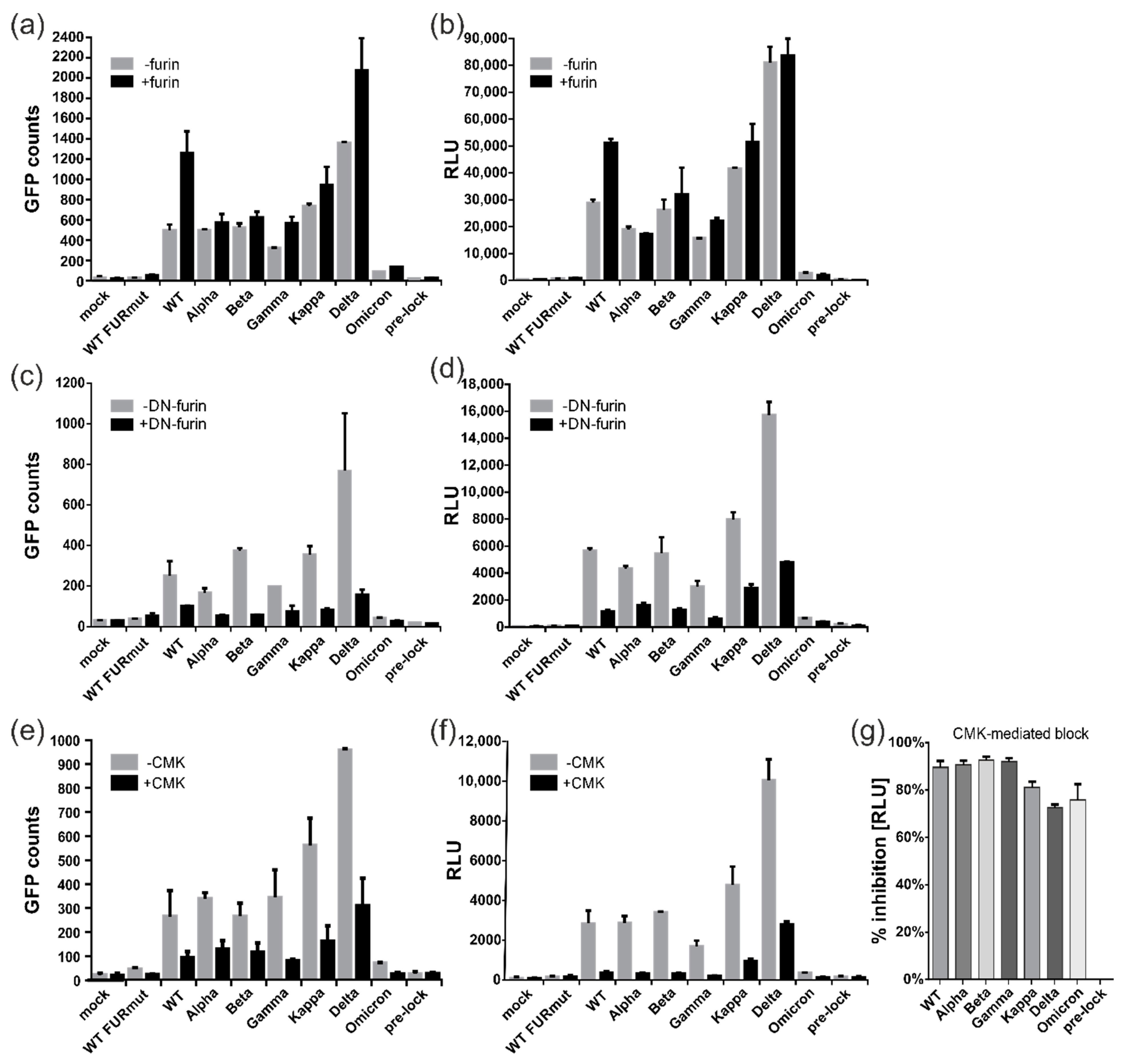 Viruses 15 01500 g005
