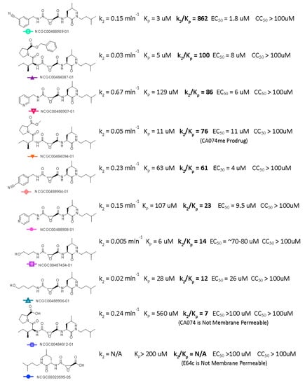 Viruses 15 01503 g0a1