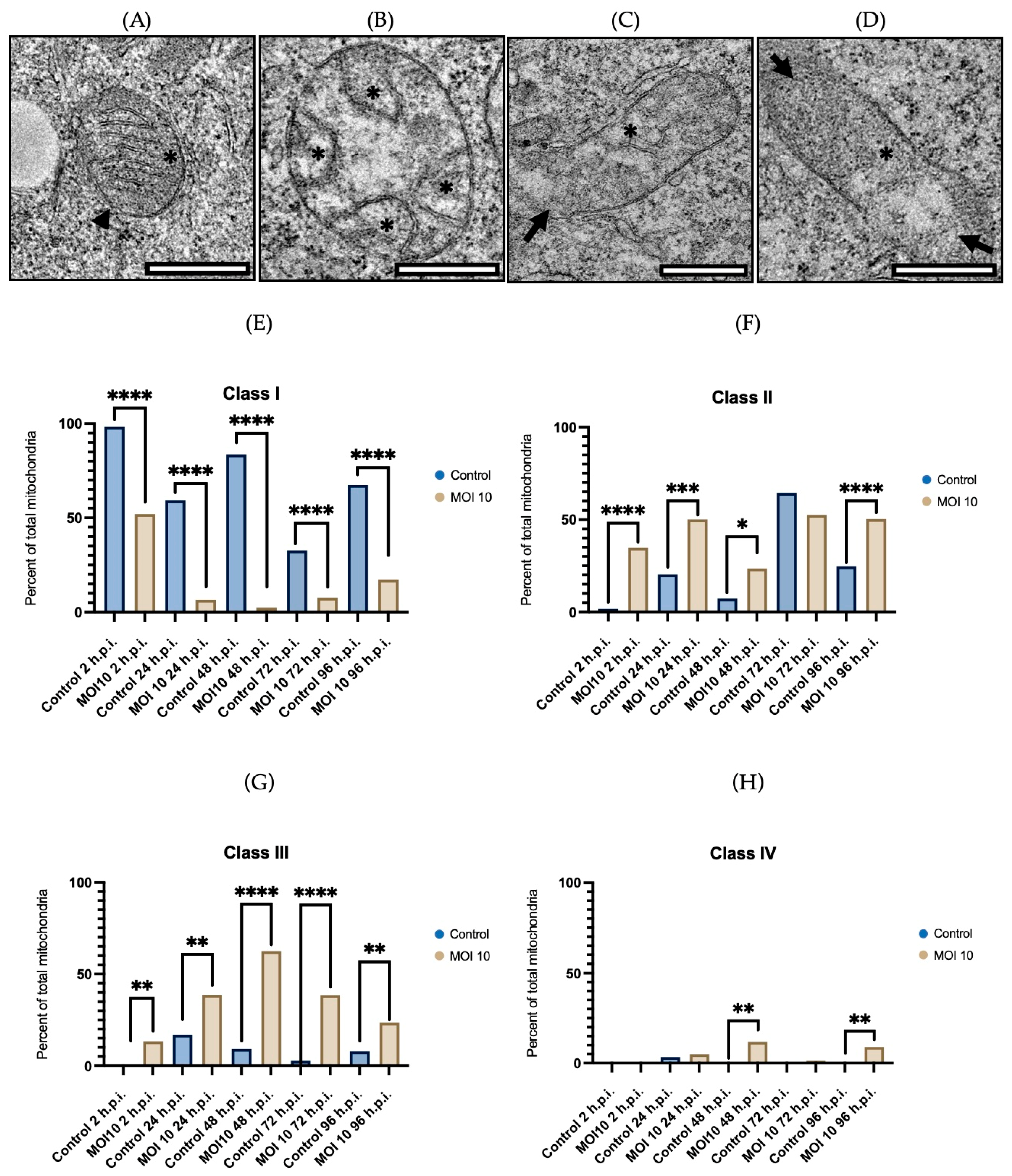 Viruses 15 01518 g002