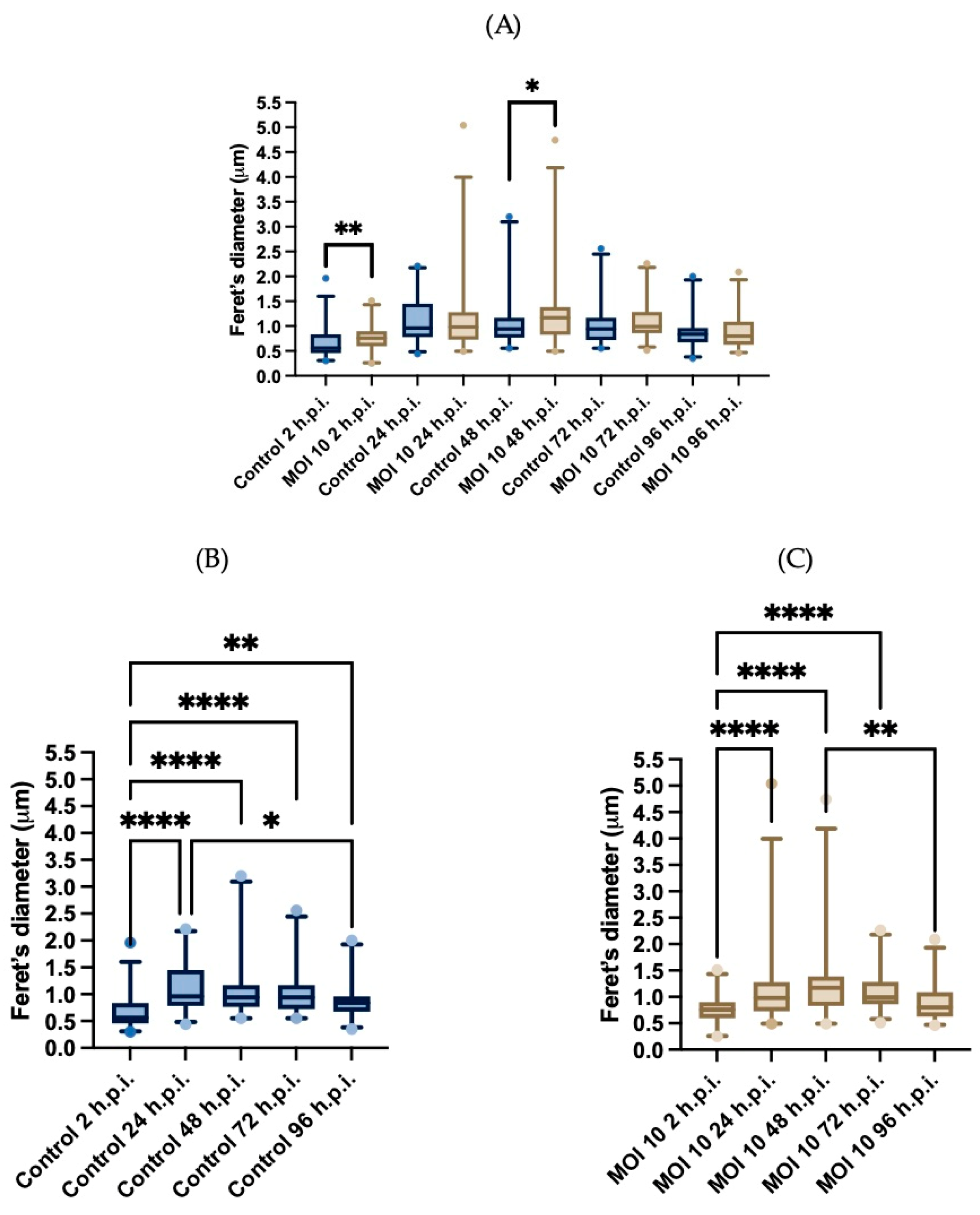 Viruses 15 01518 g004