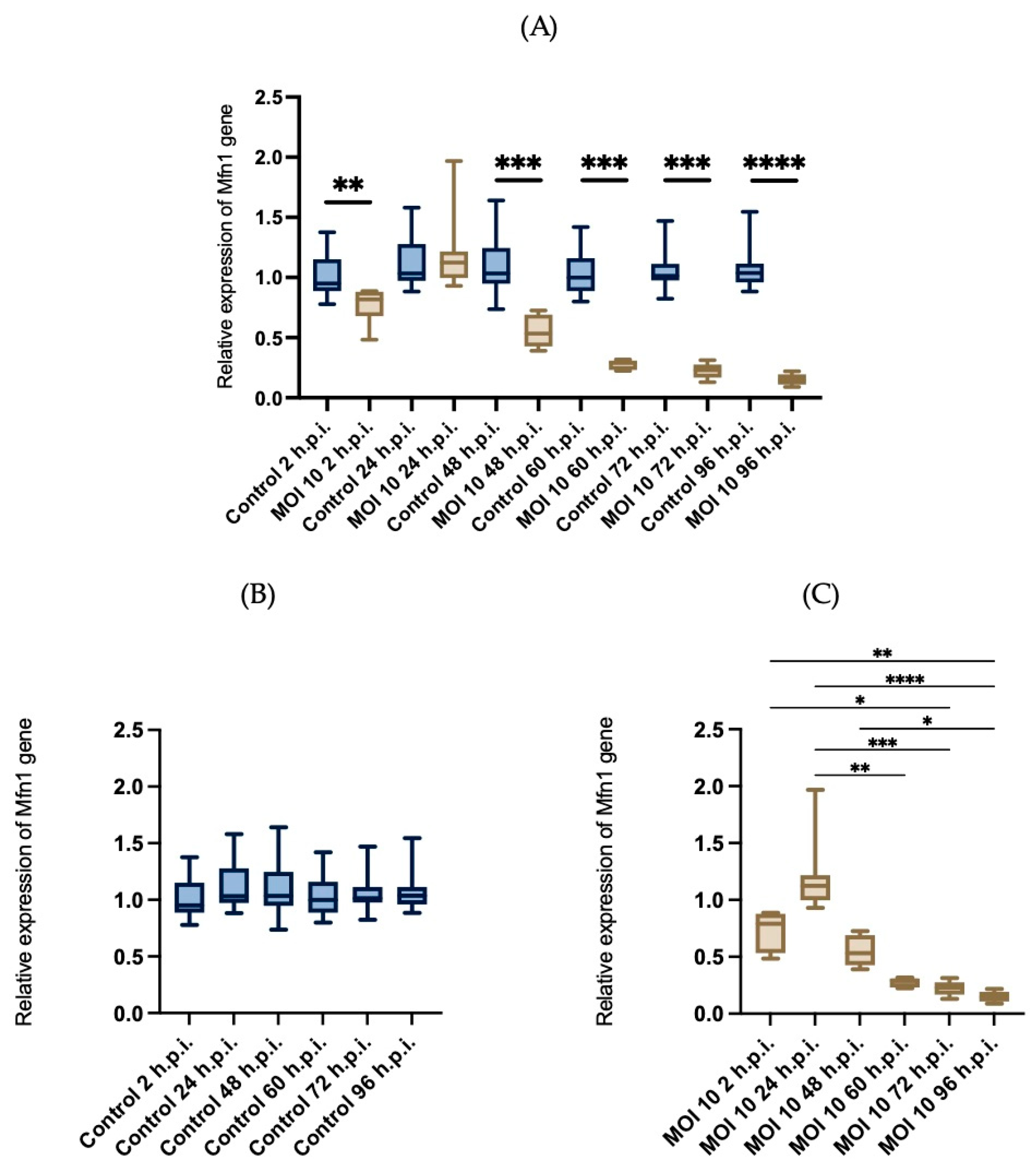 Viruses 15 01518 g006