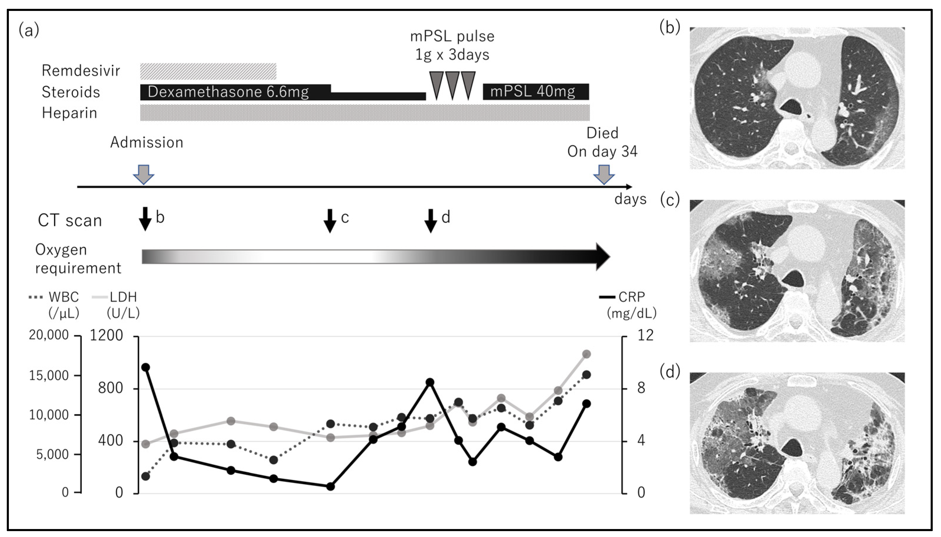Viruses 15 01520 g001