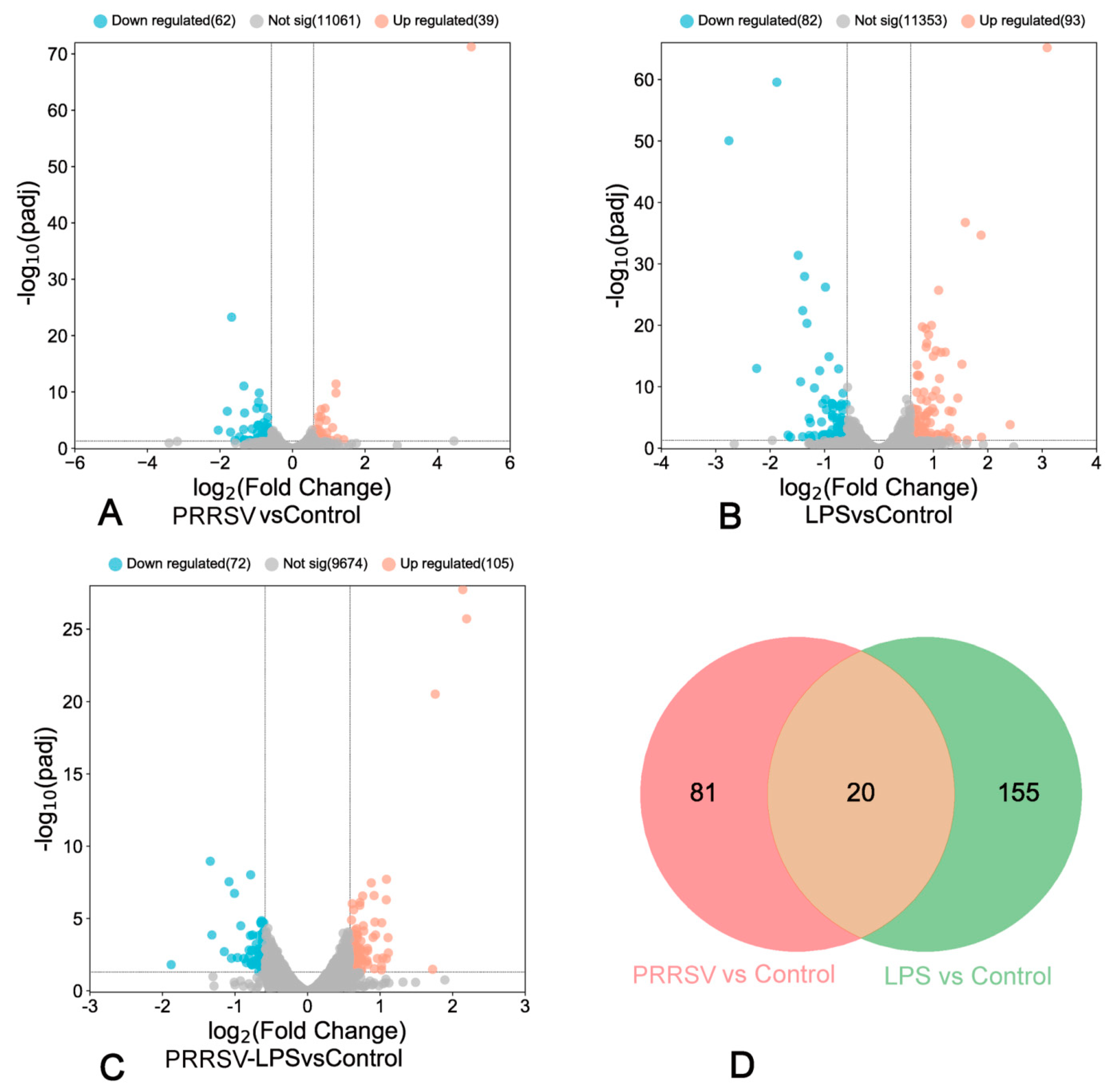 Viruses 15 01523 g002