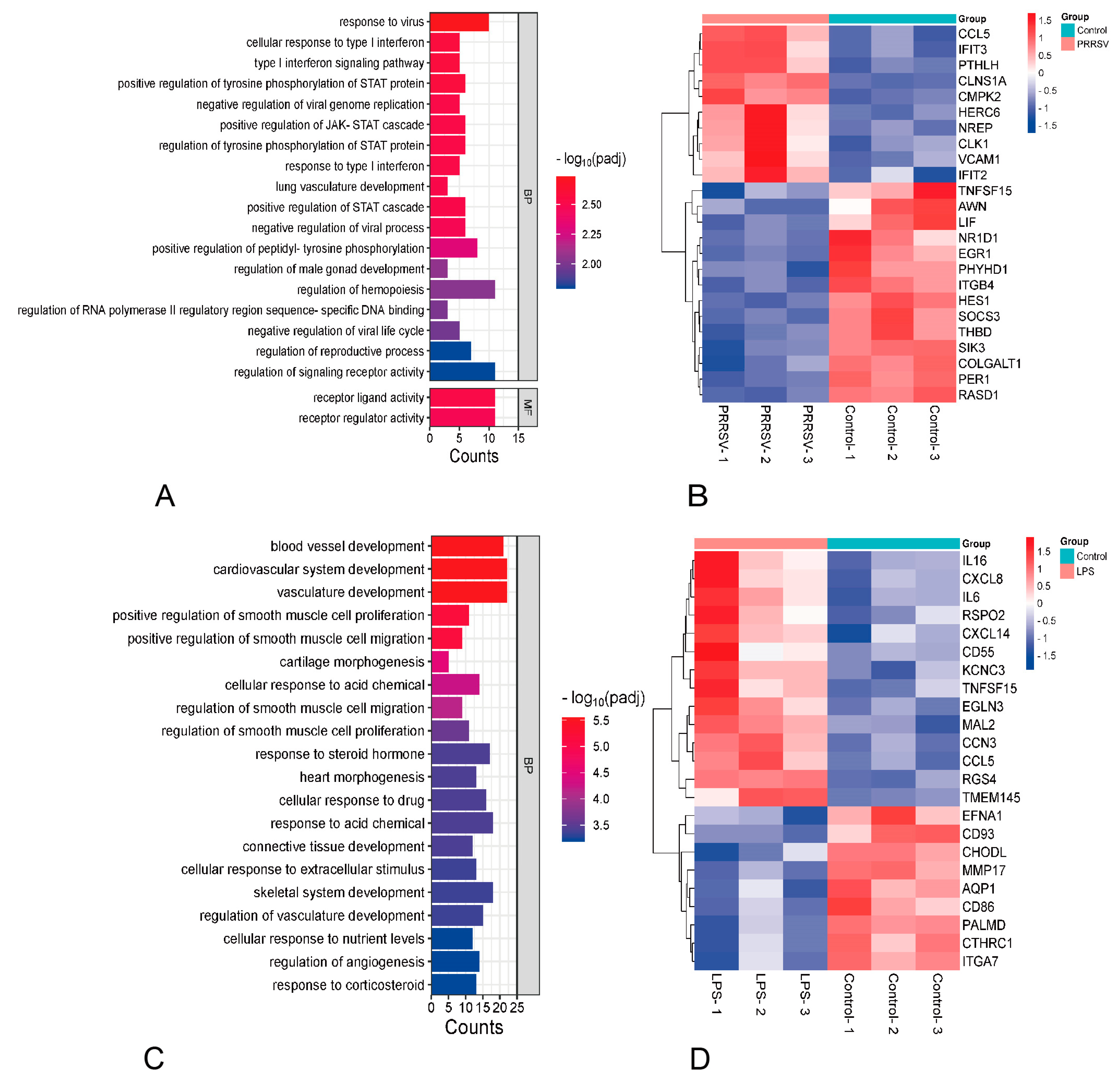 Viruses 15 01523 g004a