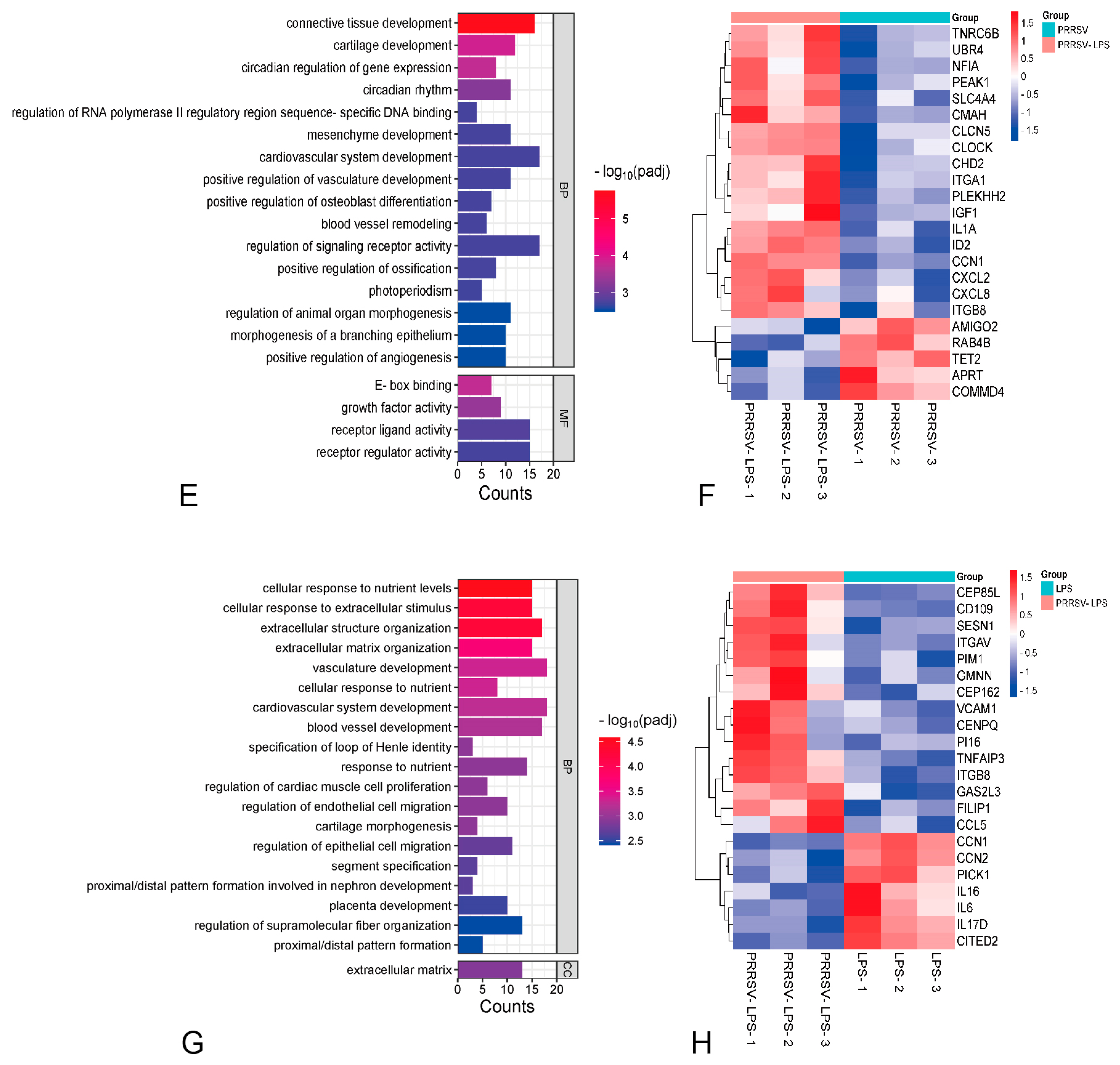 Viruses 15 01523 g004b