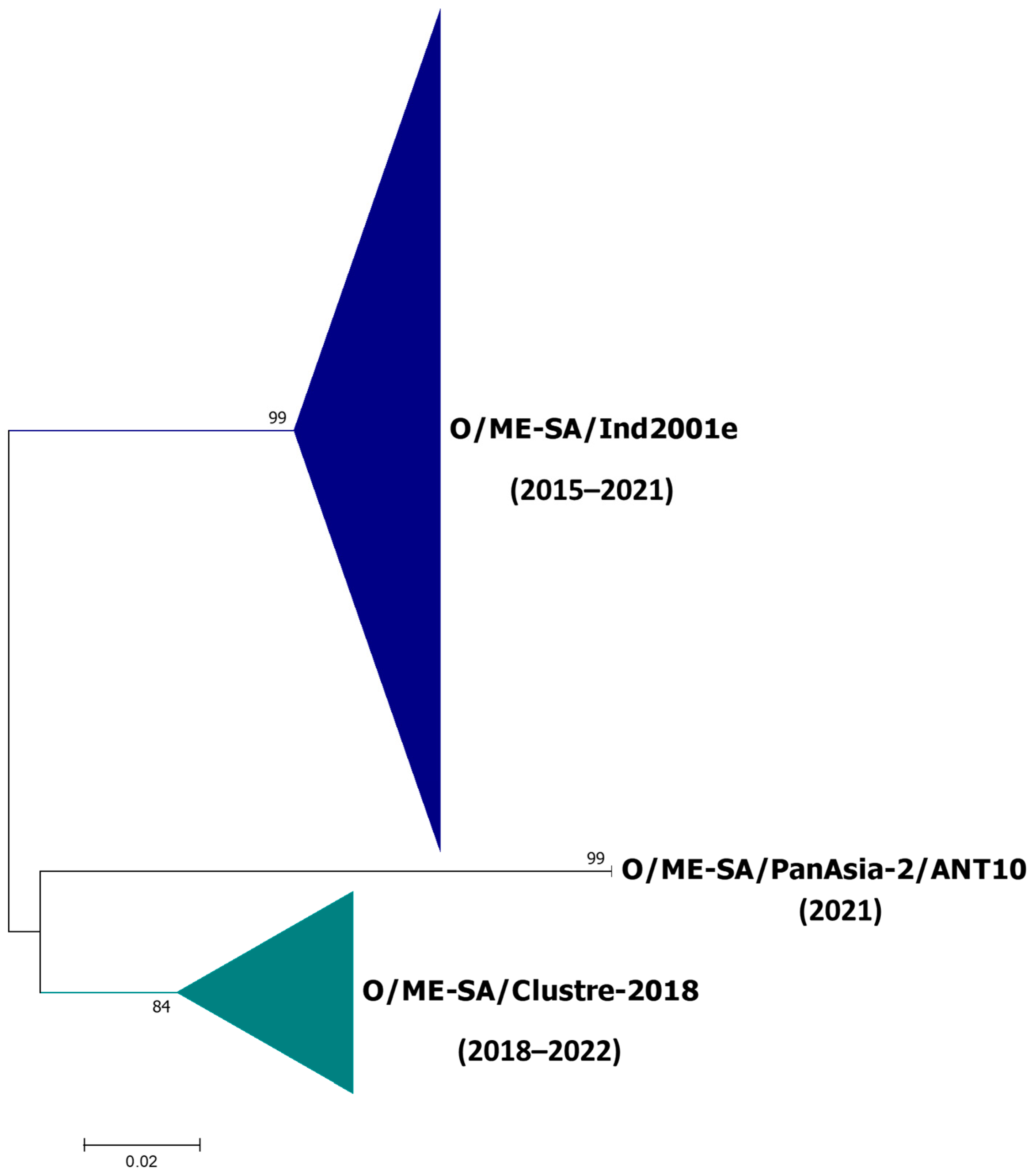 Viruses 15 01529 g001 Viruses 15 01529 g001