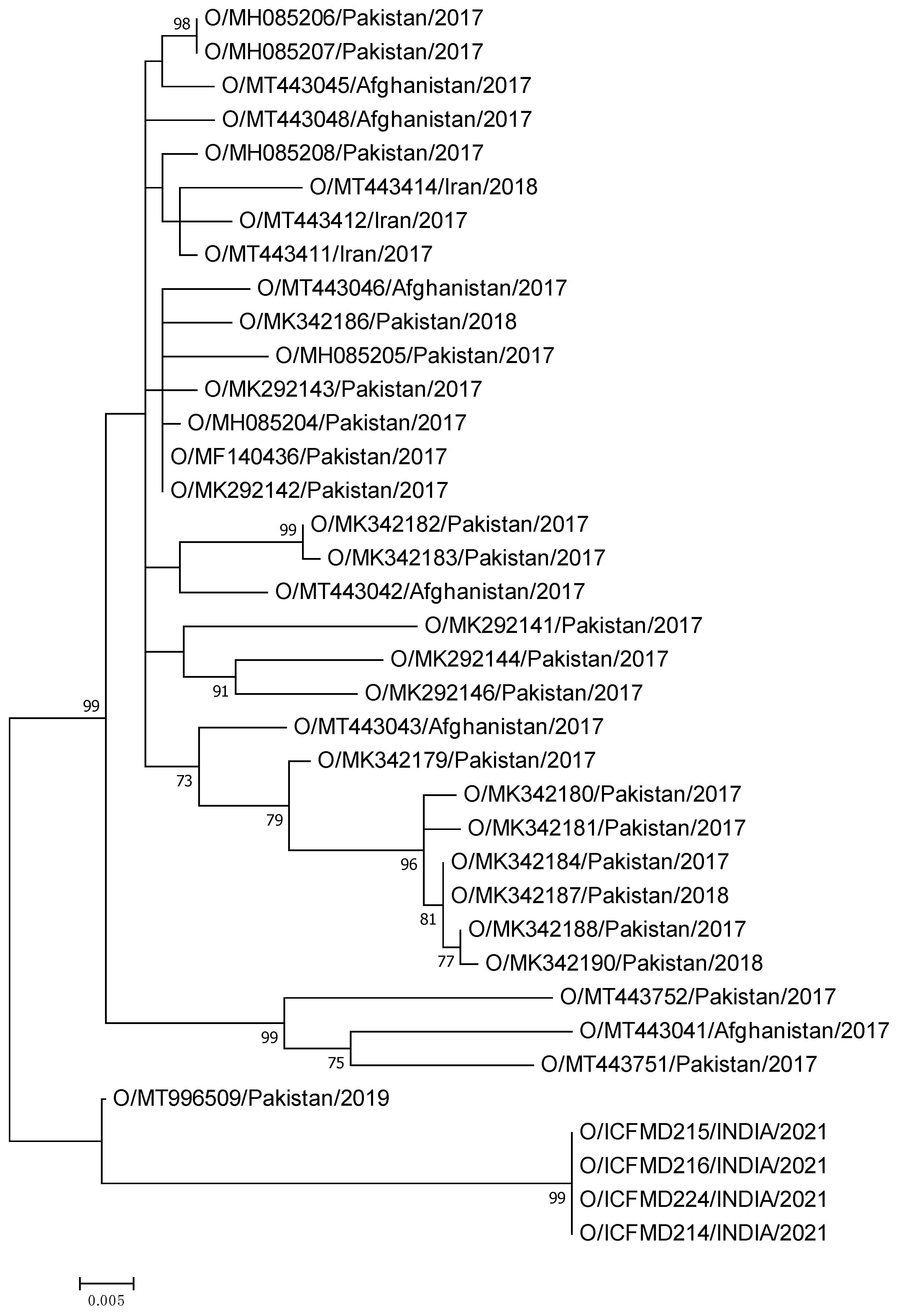 Viruses 15 01529 g002 Viruses 15 01529 g002