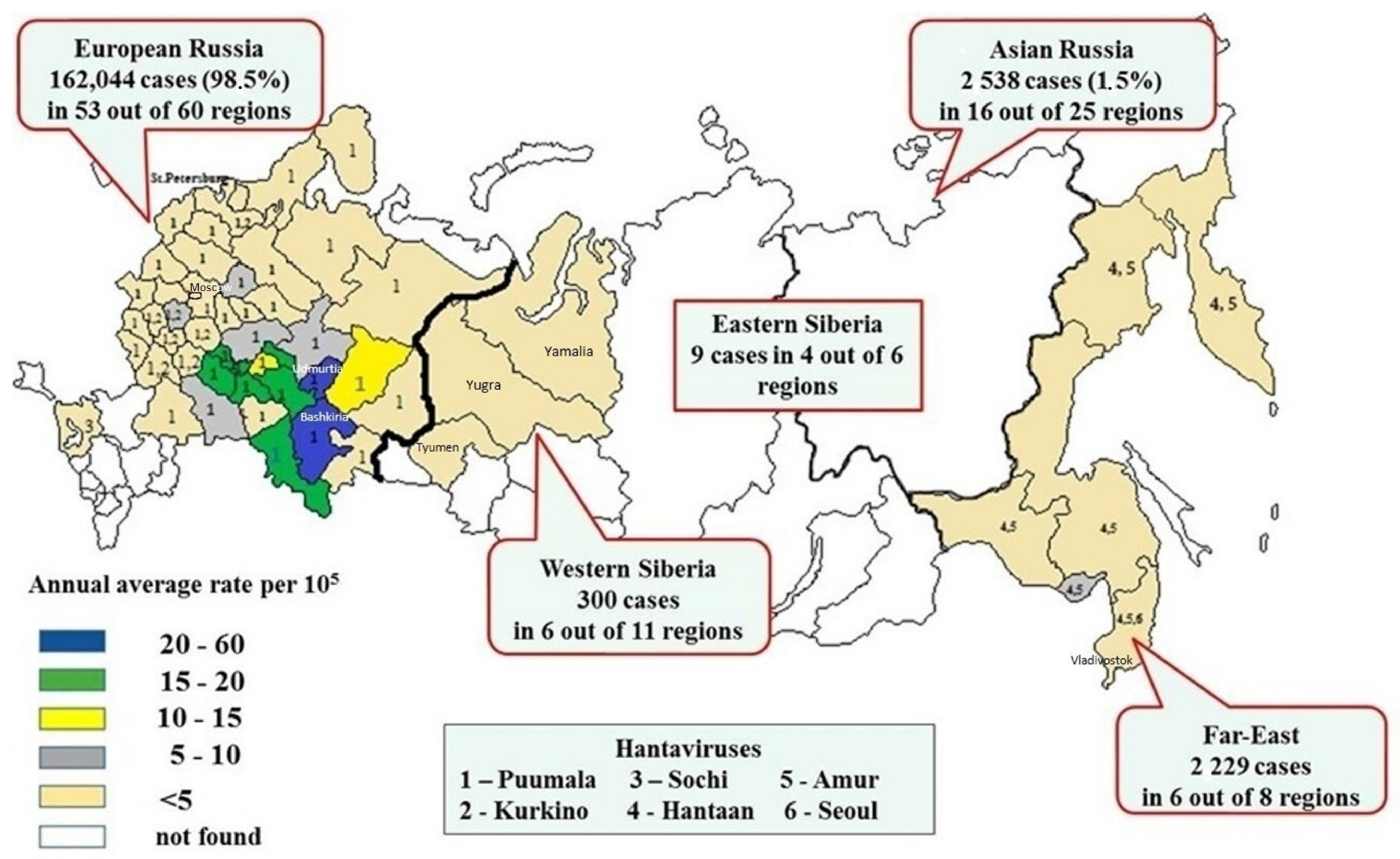 Viruses 15 01537 g001