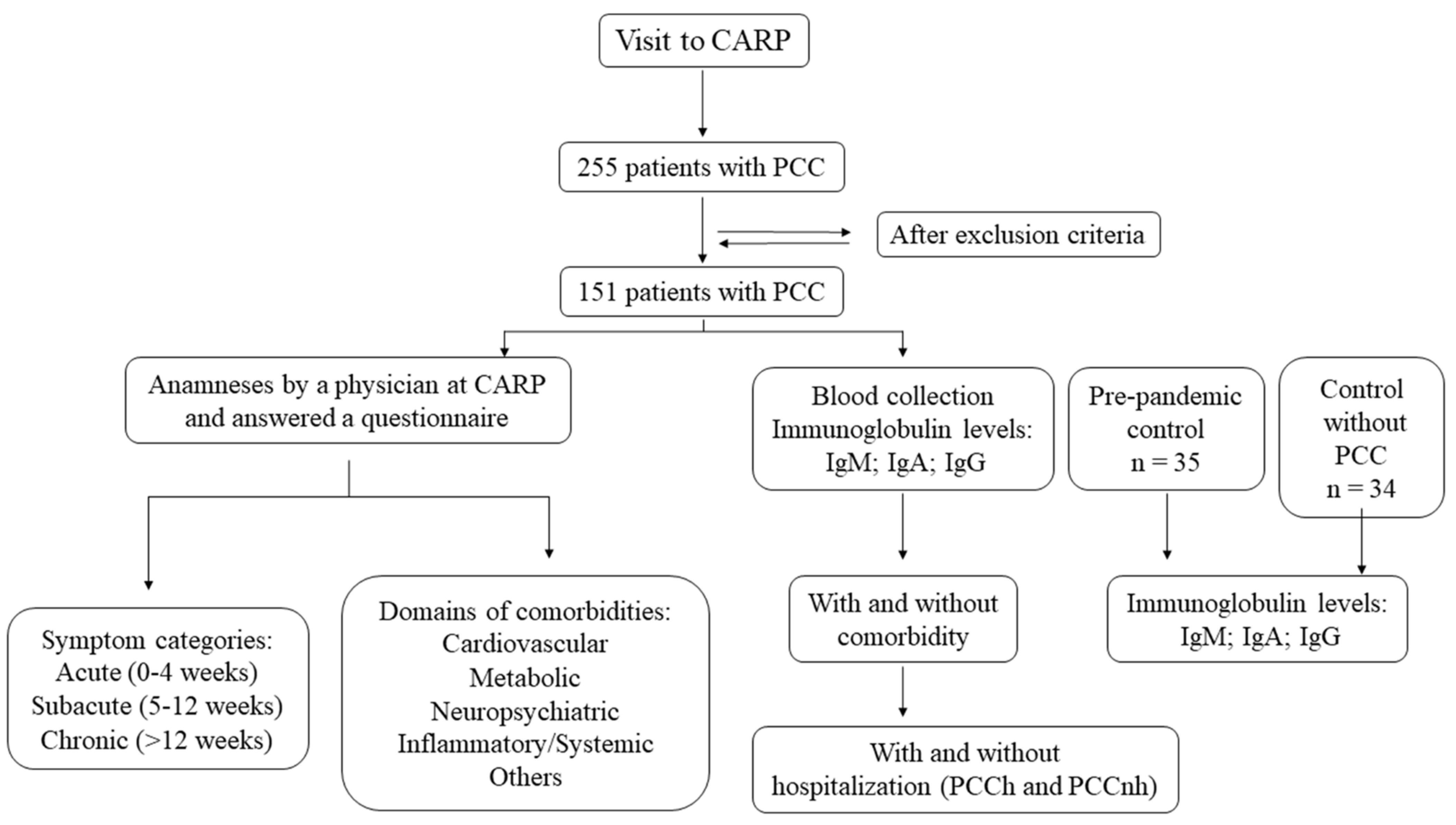 Viruses 15 01545 g001
