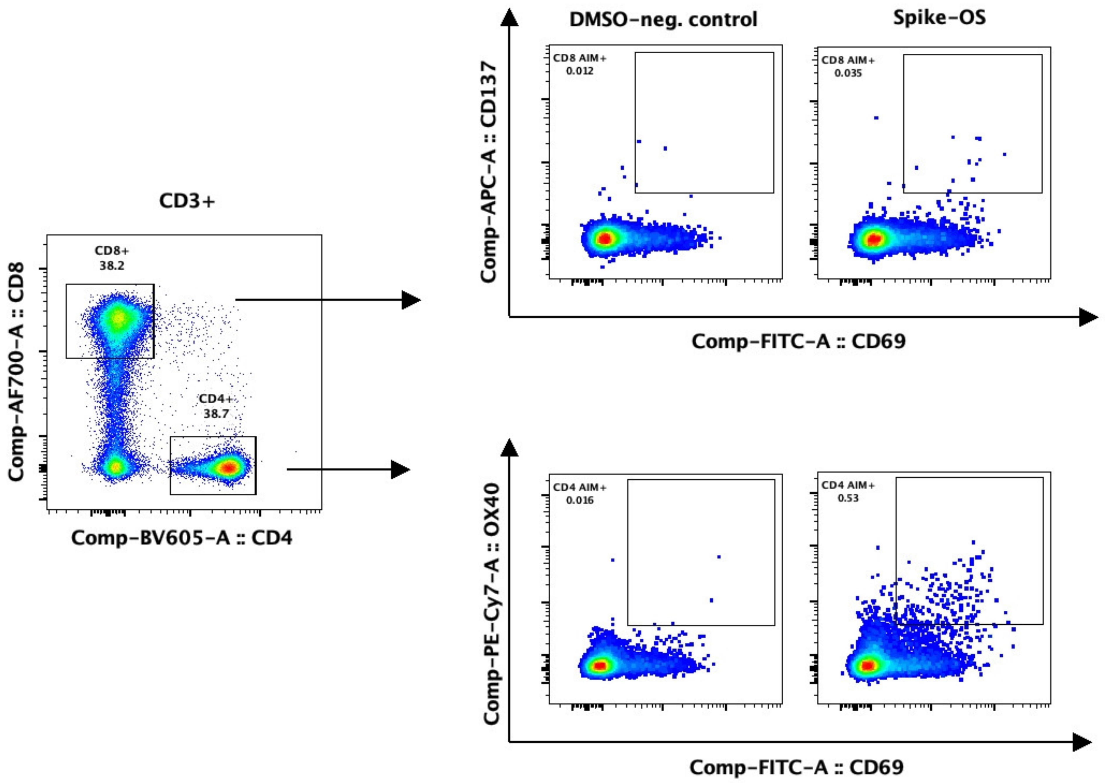 Viruses 15 01553 g002