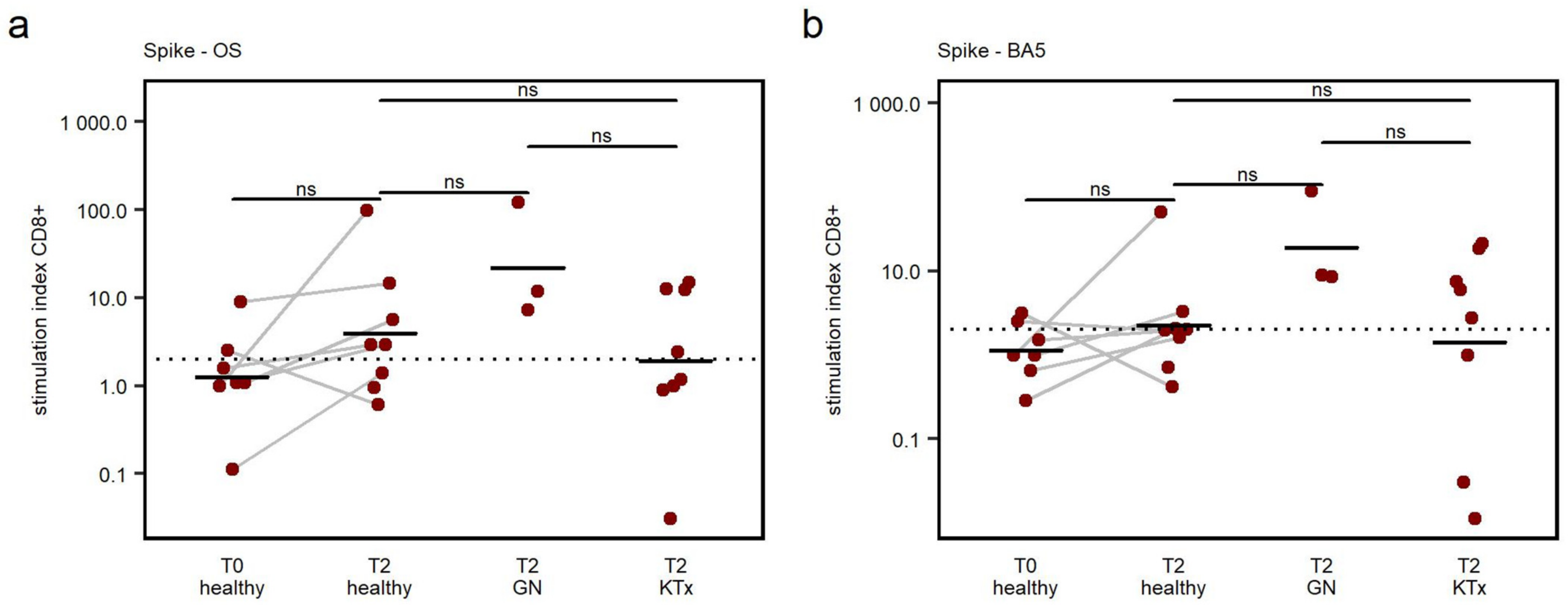 Viruses 15 01553 g004
