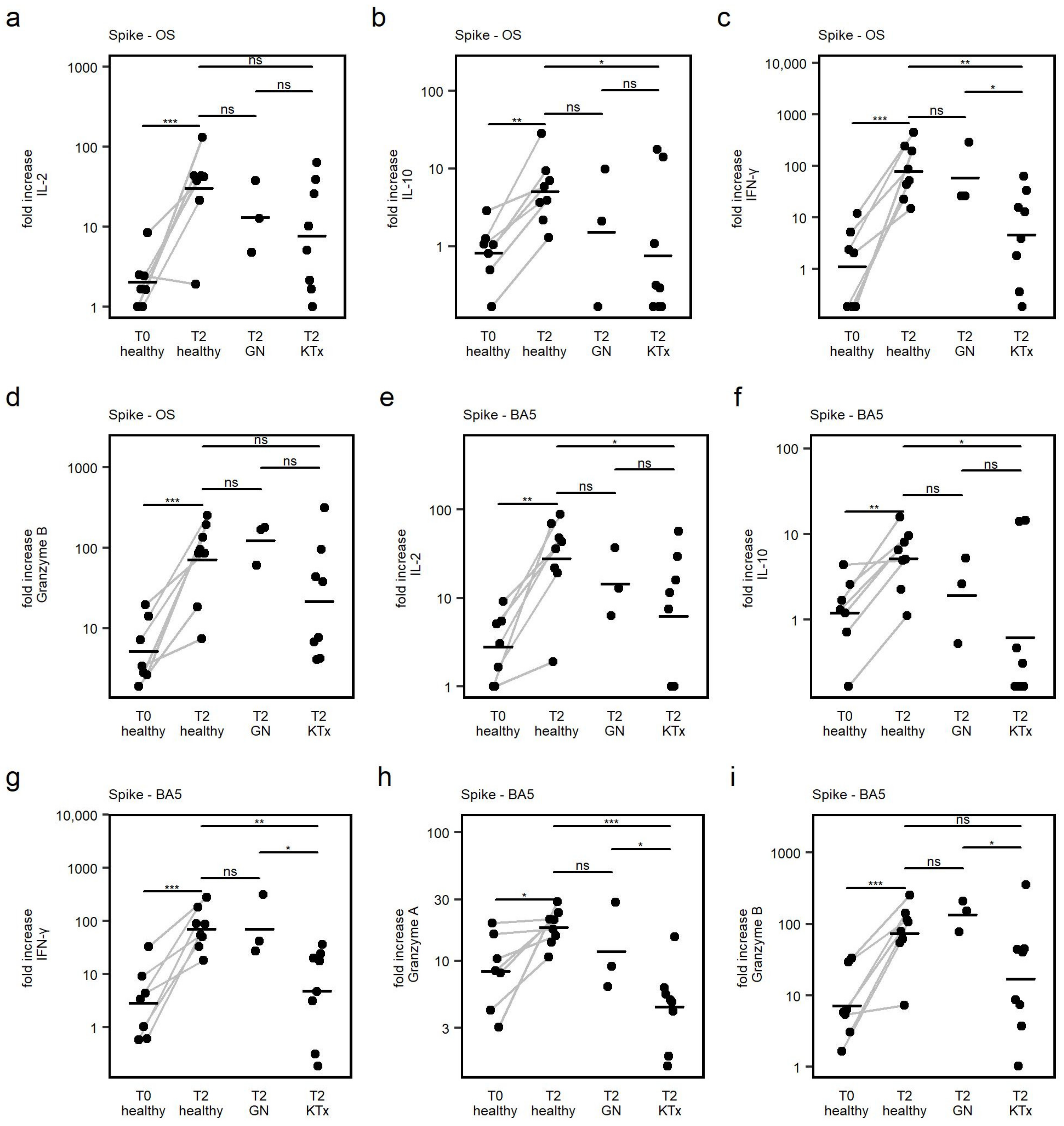 Viruses 15 01553 g005