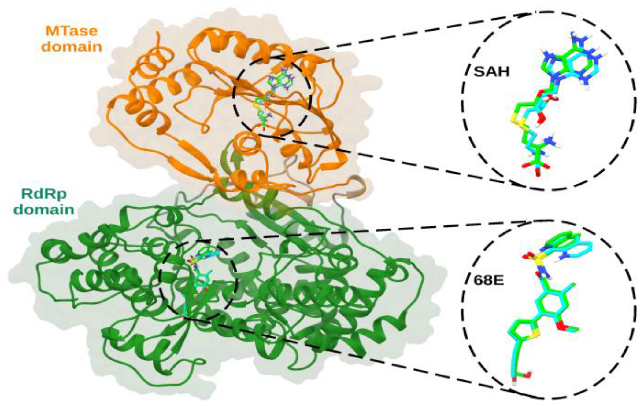 Viruses 15 01563 g001