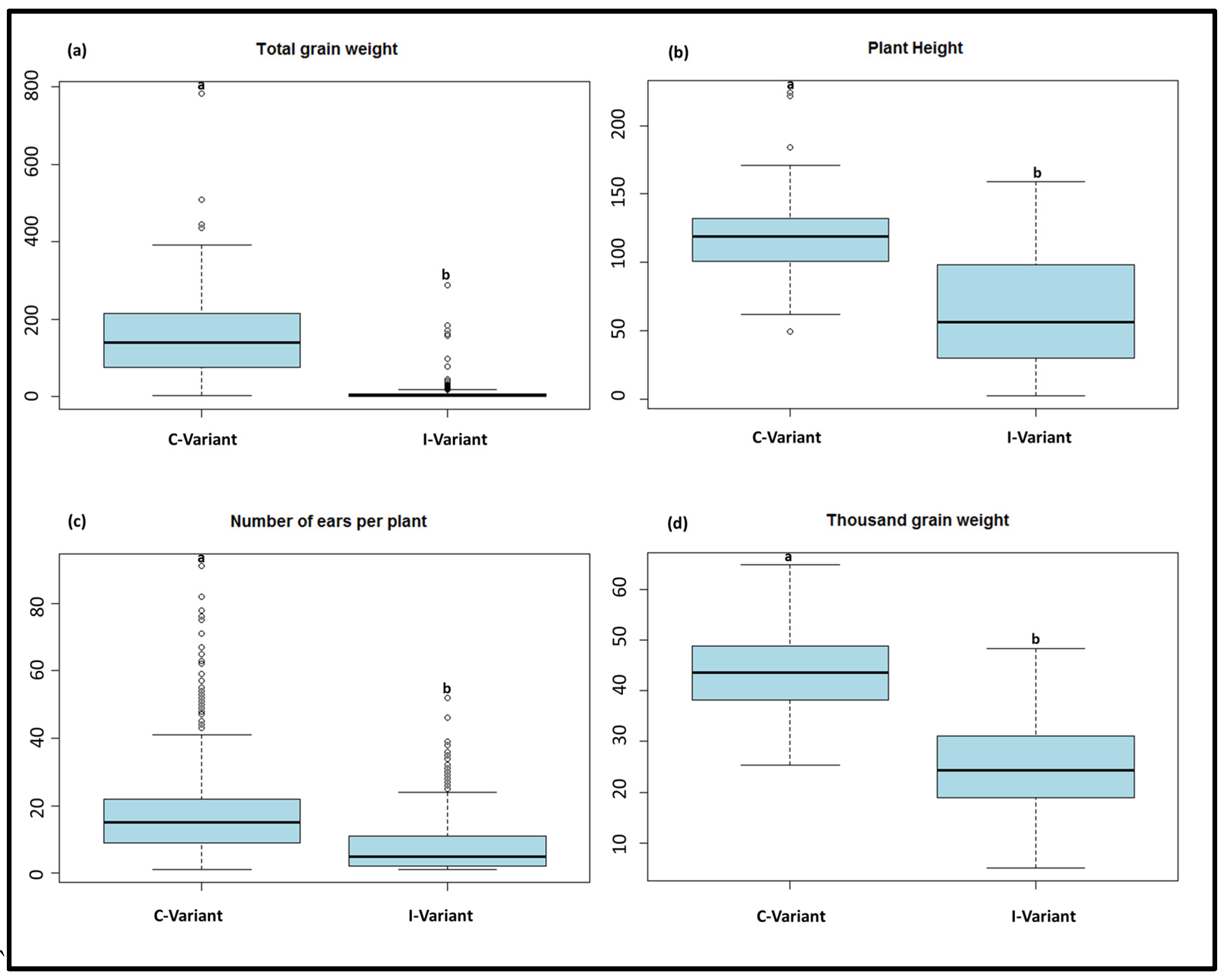 Viruses 15 01568 g002