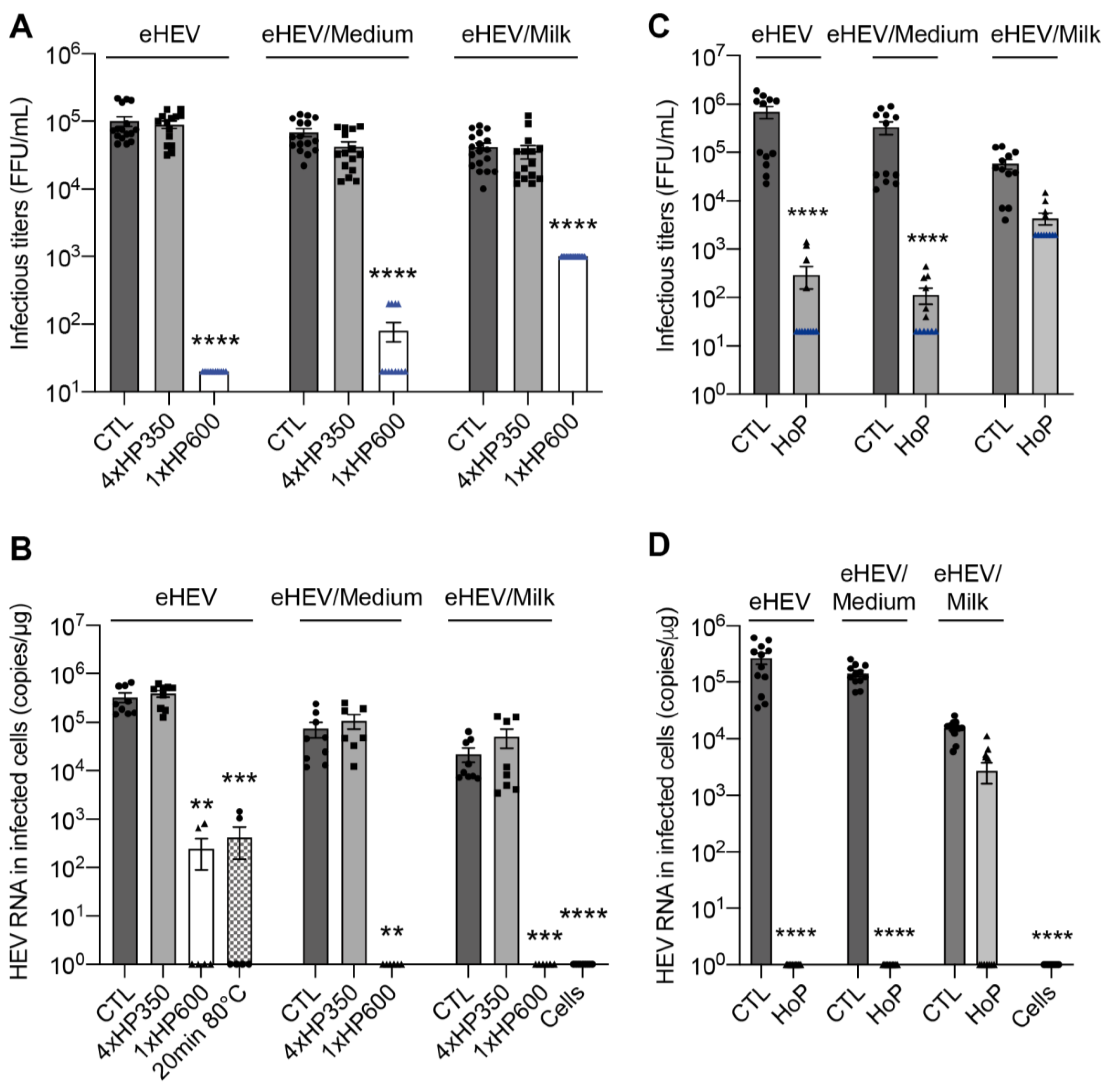 Viruses 15 01571 g004