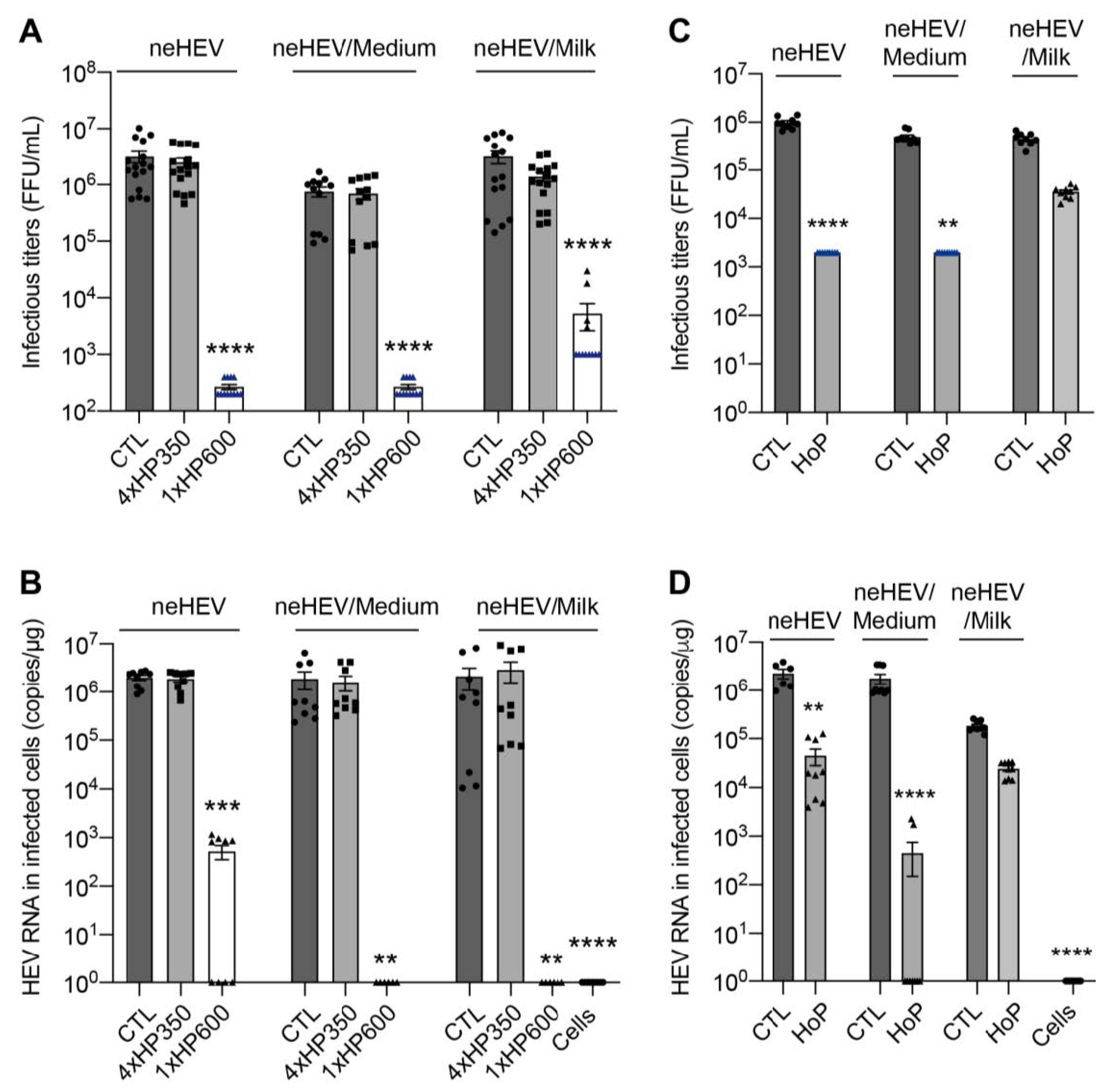 Viruses 15 01571 g005