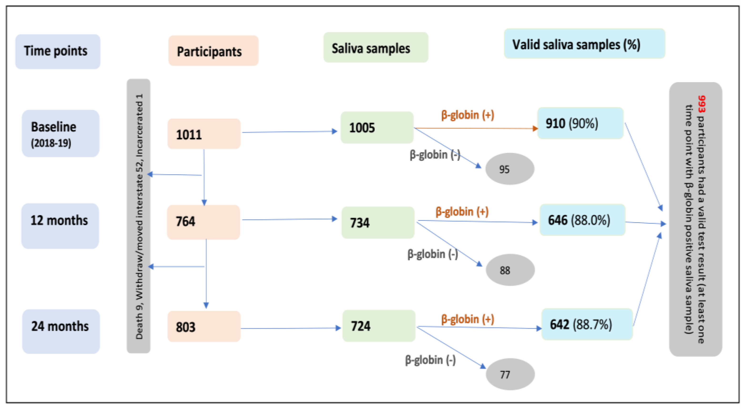 Viruses 15 01573 g001