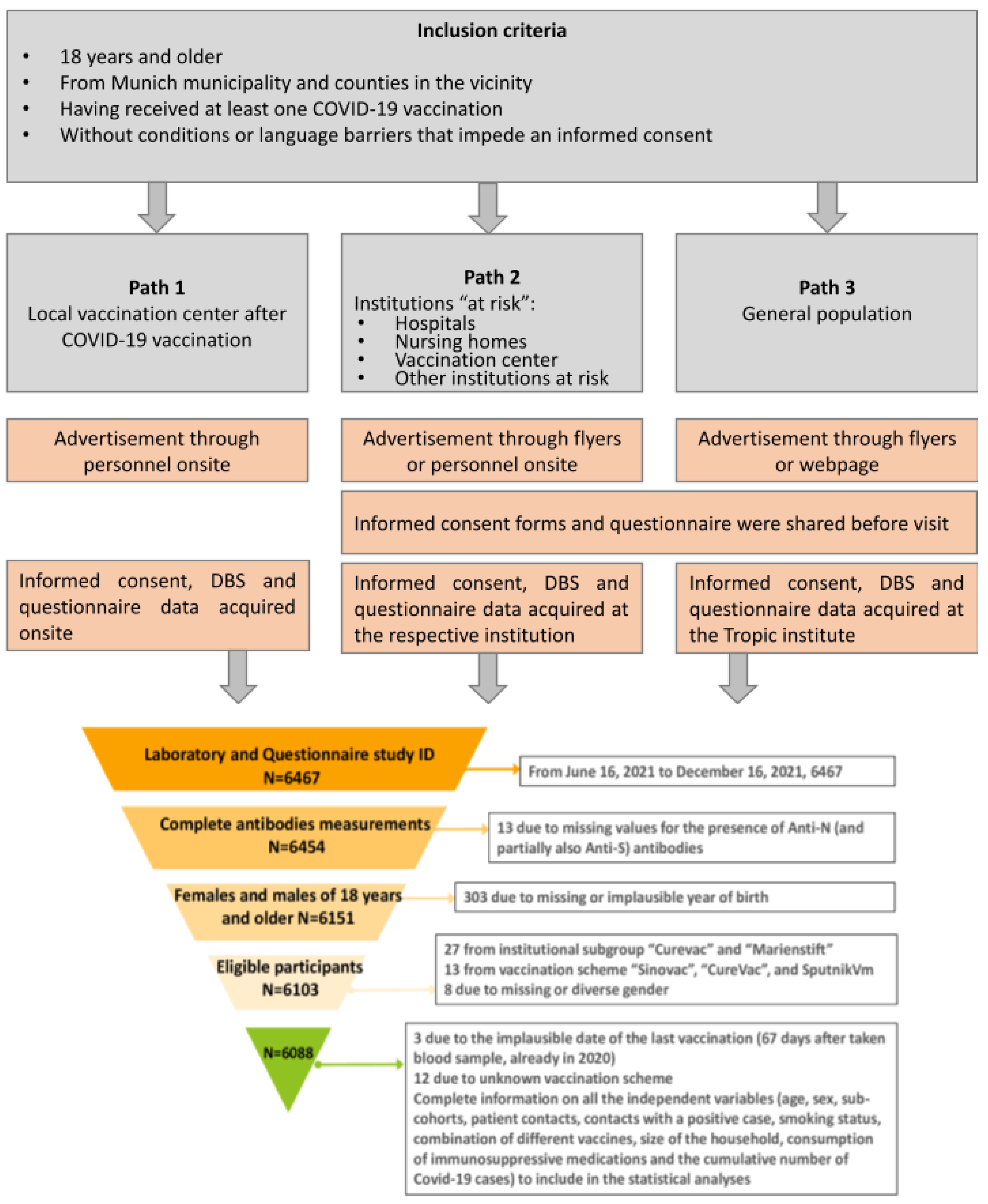 Viruses 15 01574 g001