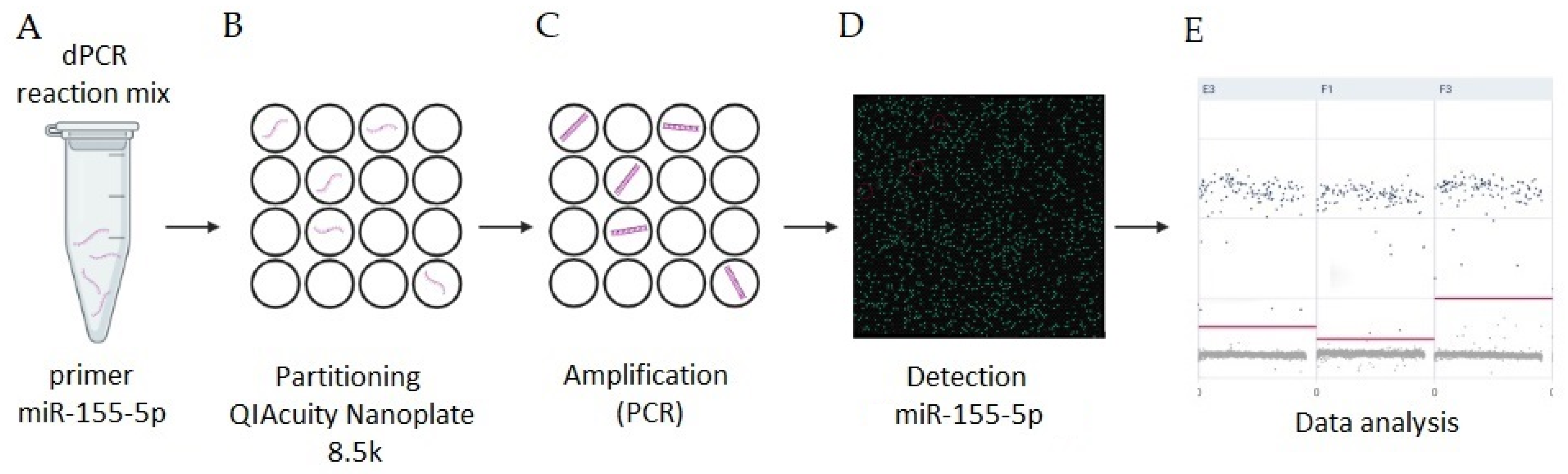 Viruses 15 01578 g001
