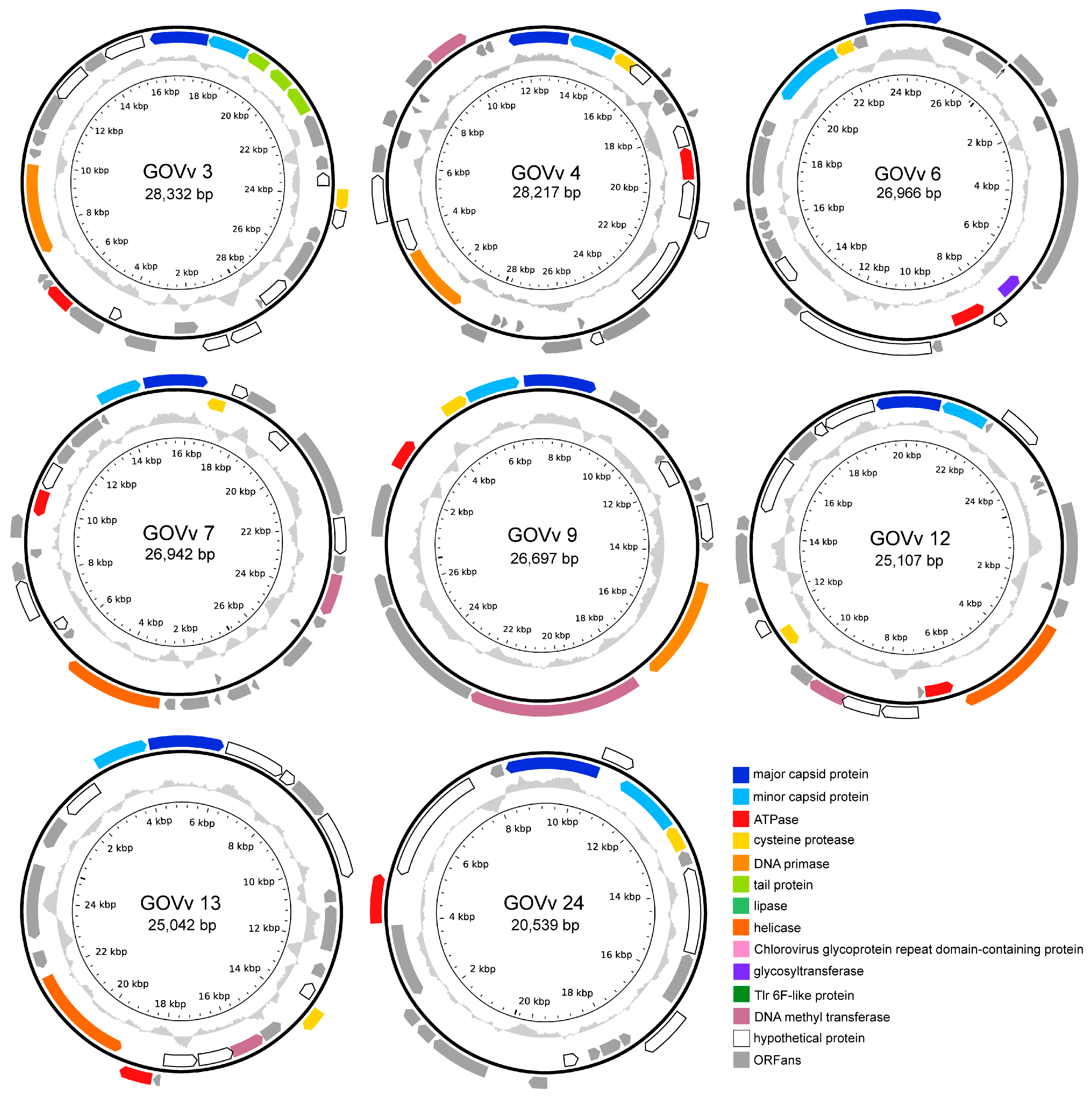 Viruses 15 01582 g004