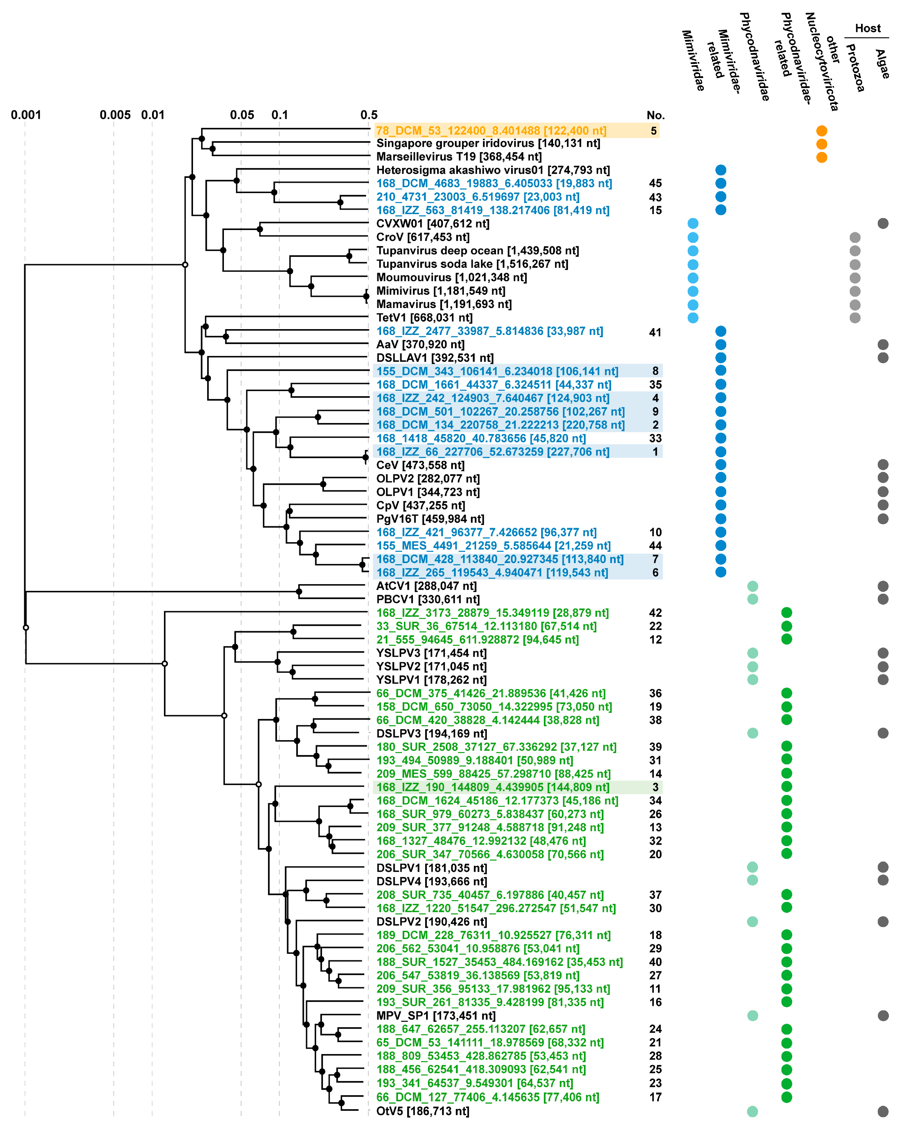 Viruses 15 01582 g005