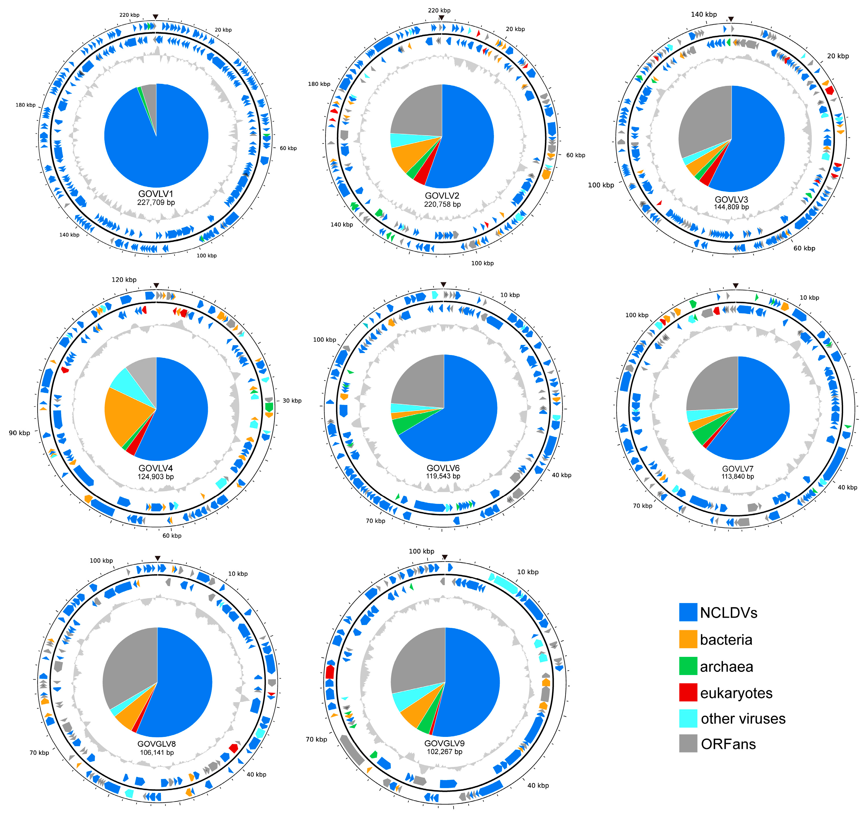 Viruses 15 01582 g006
