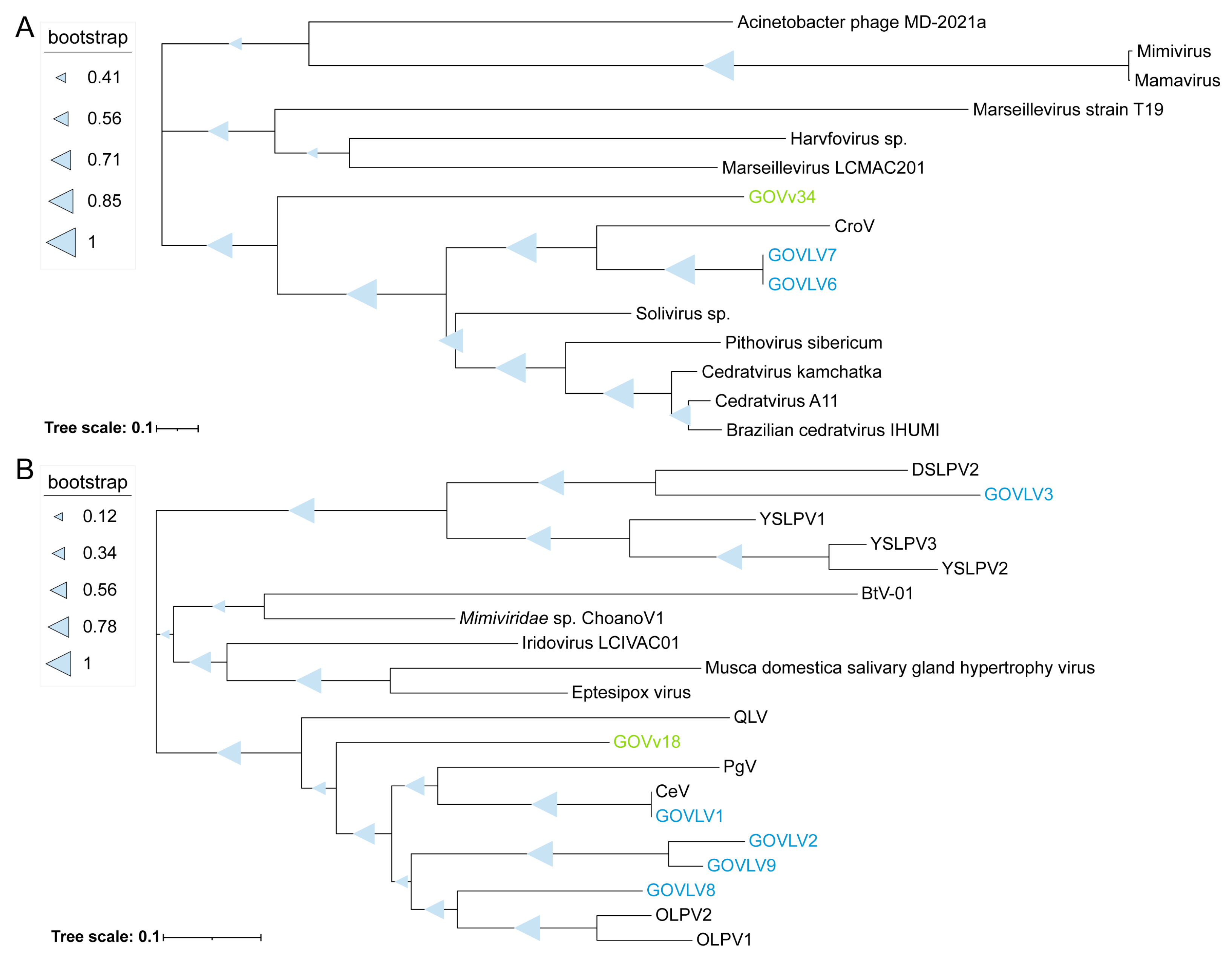 Viruses 15 01582 g007
