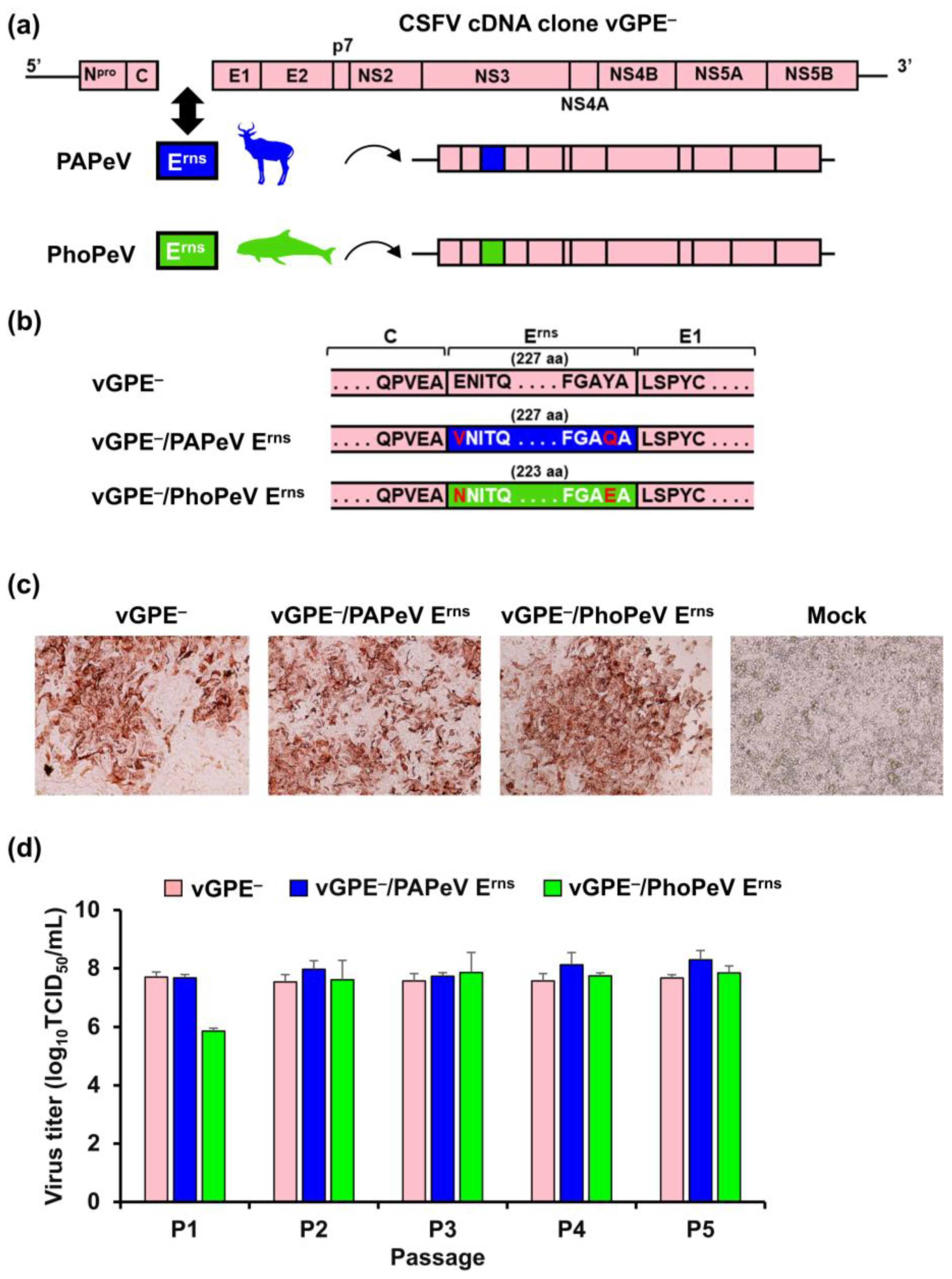 Viruses 15 01587 g001