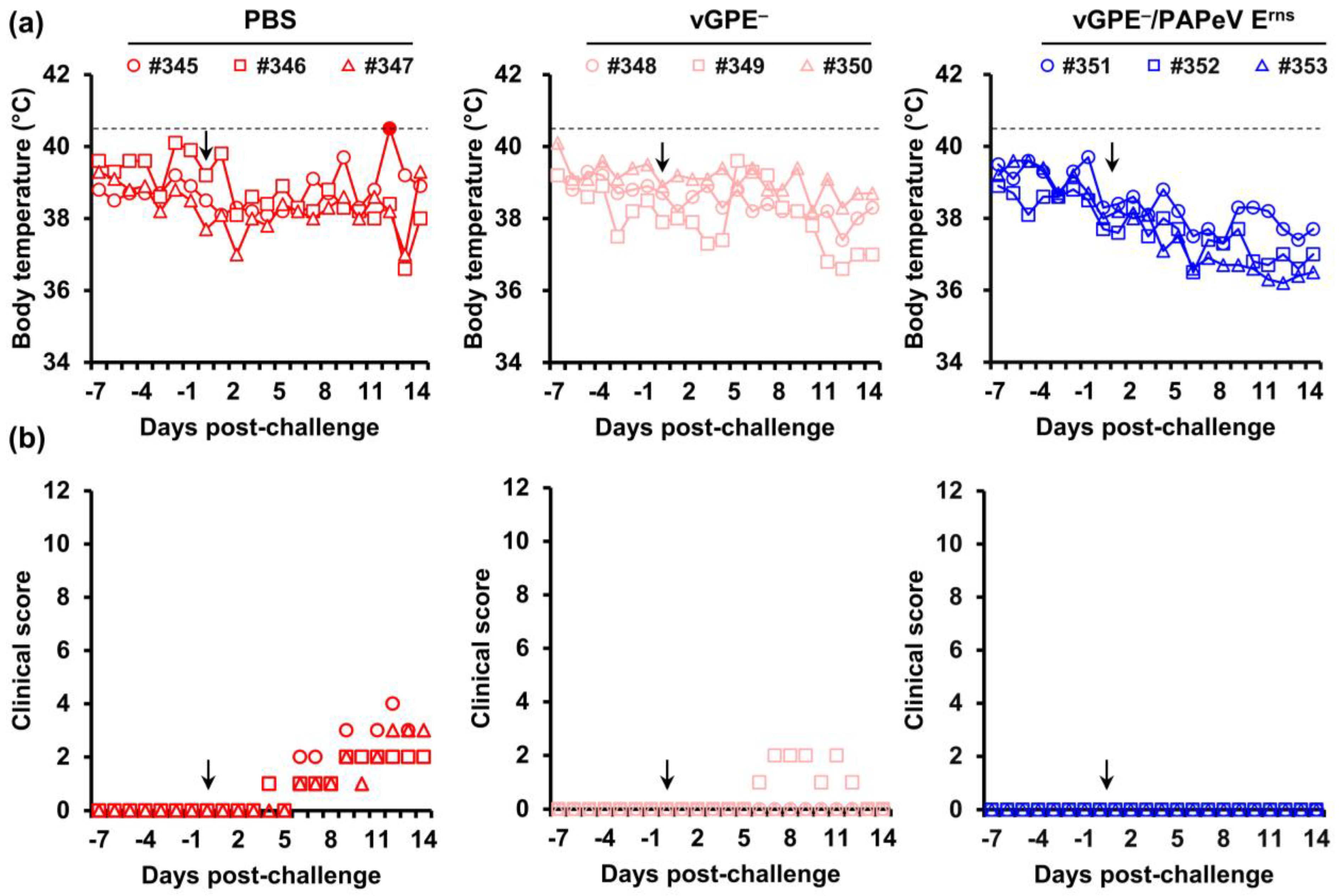 Viruses 15 01587 g003