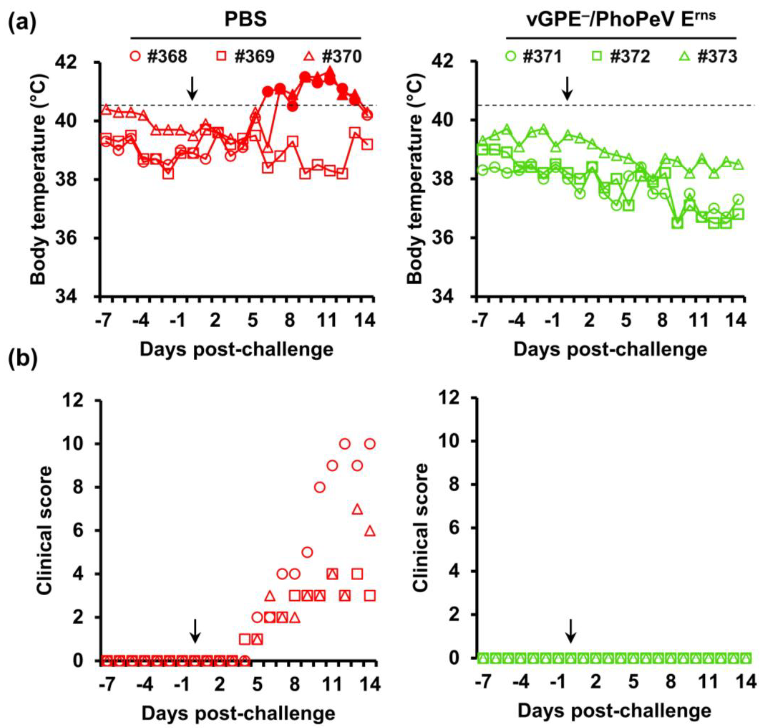 Viruses 15 01587 g004