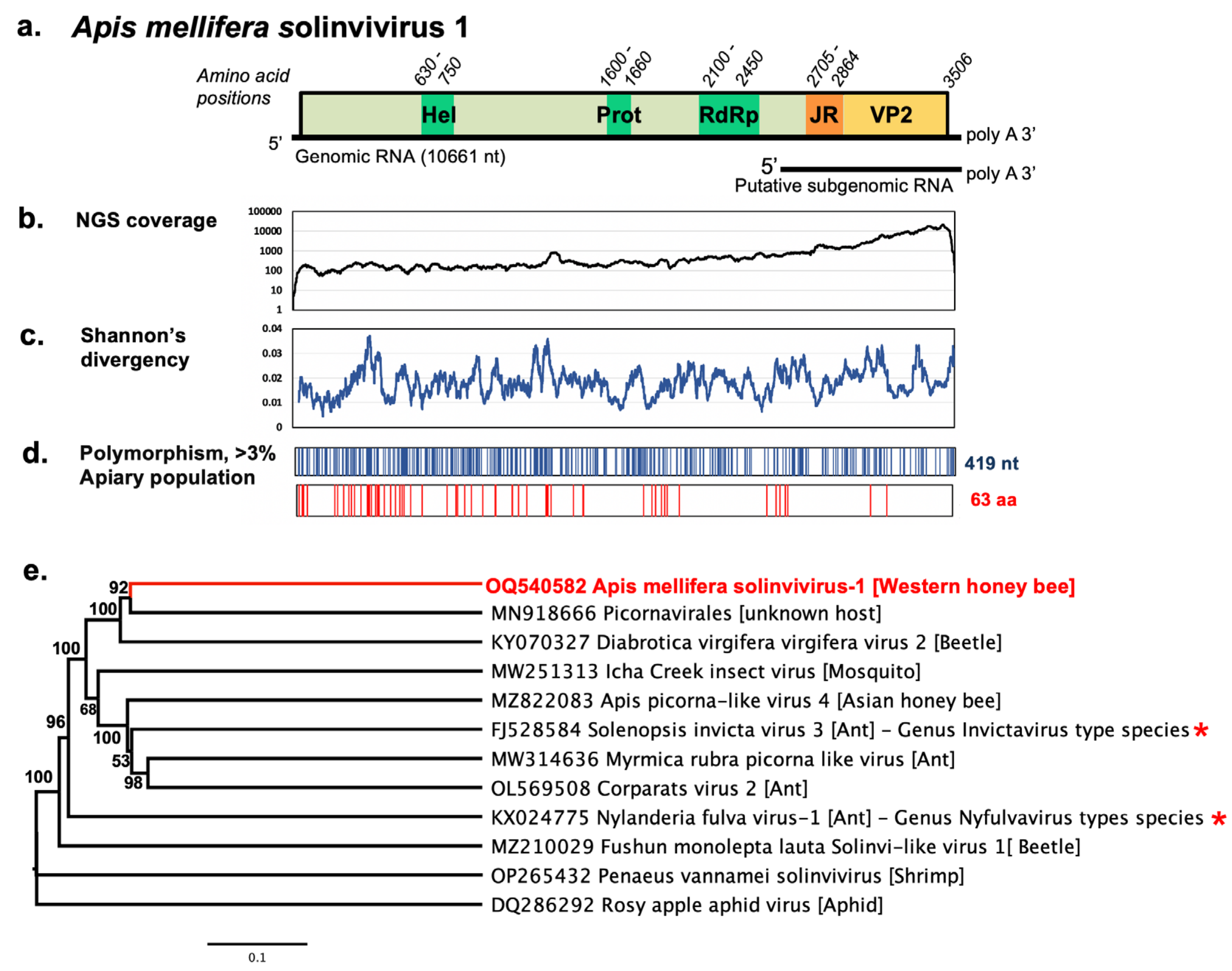 Viruses 15 01597 g001