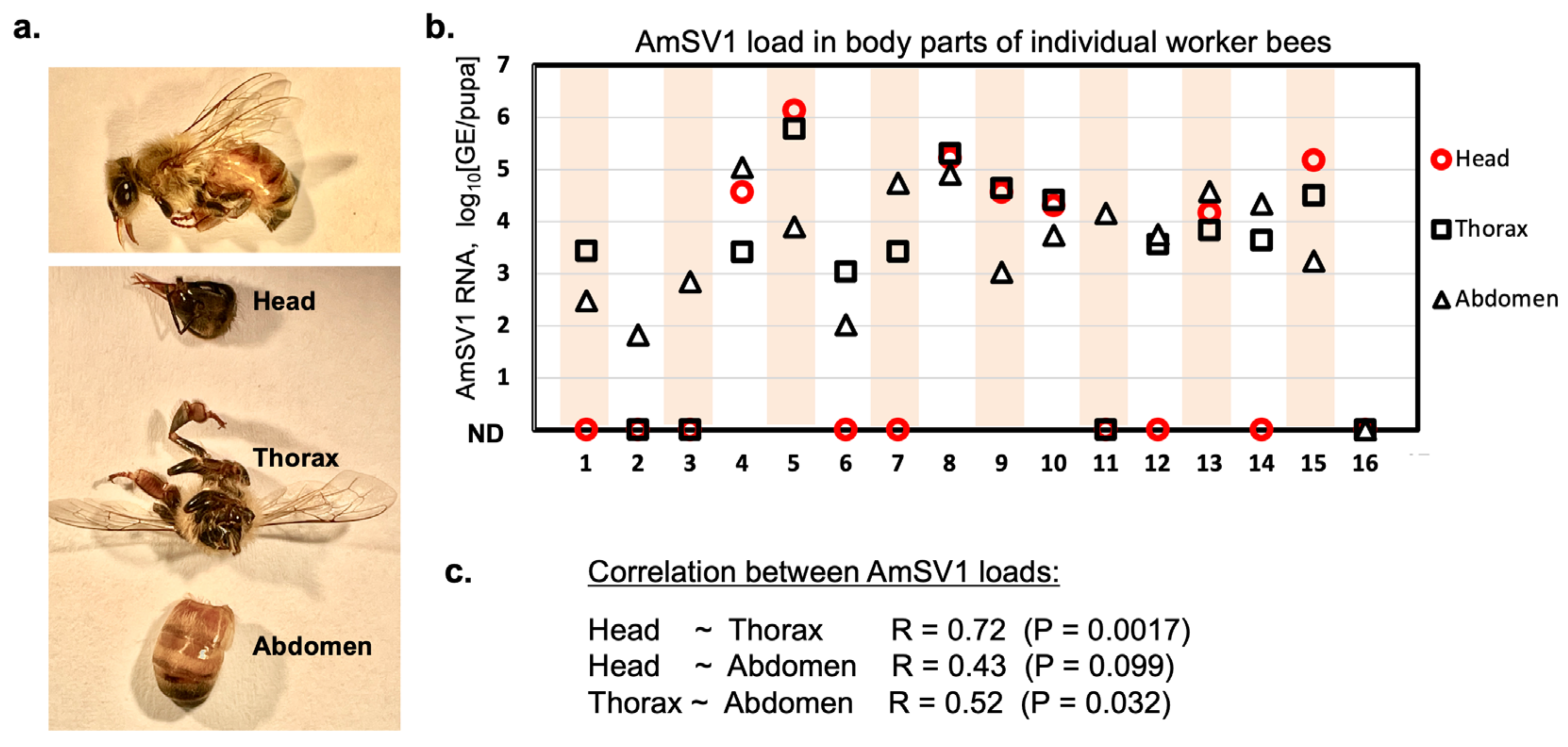 Viruses 15 01597 g002
