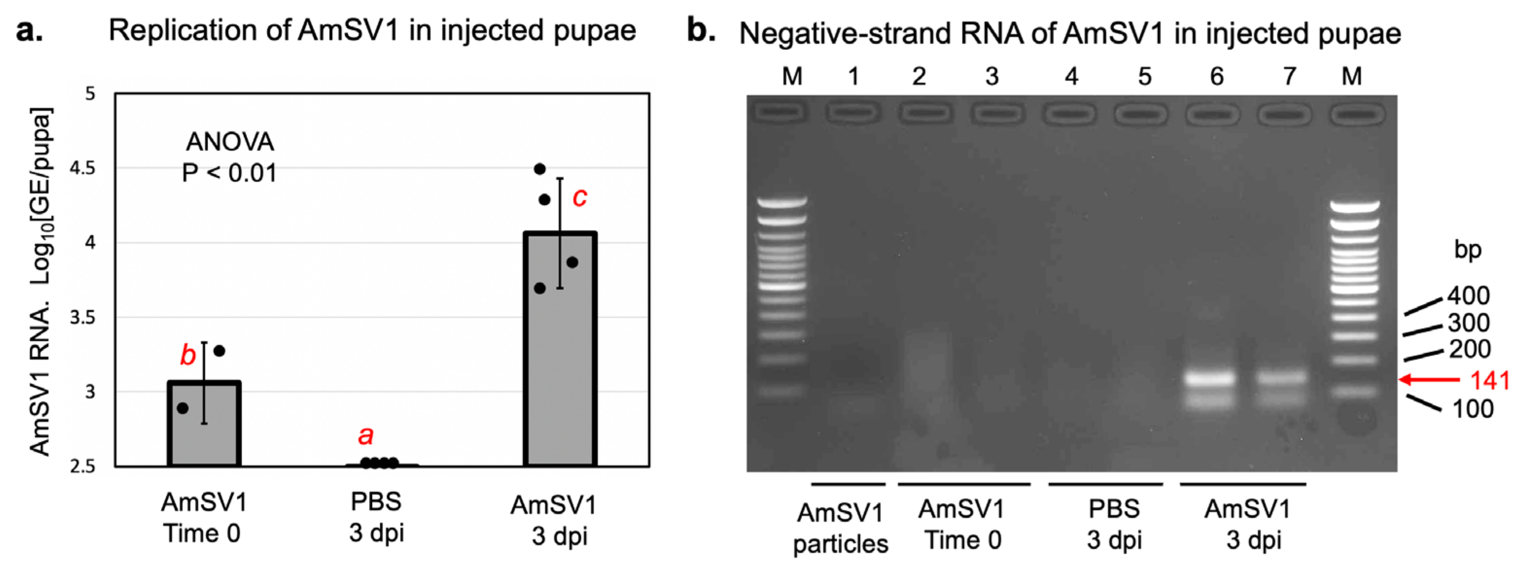 Viruses 15 01597 g003
