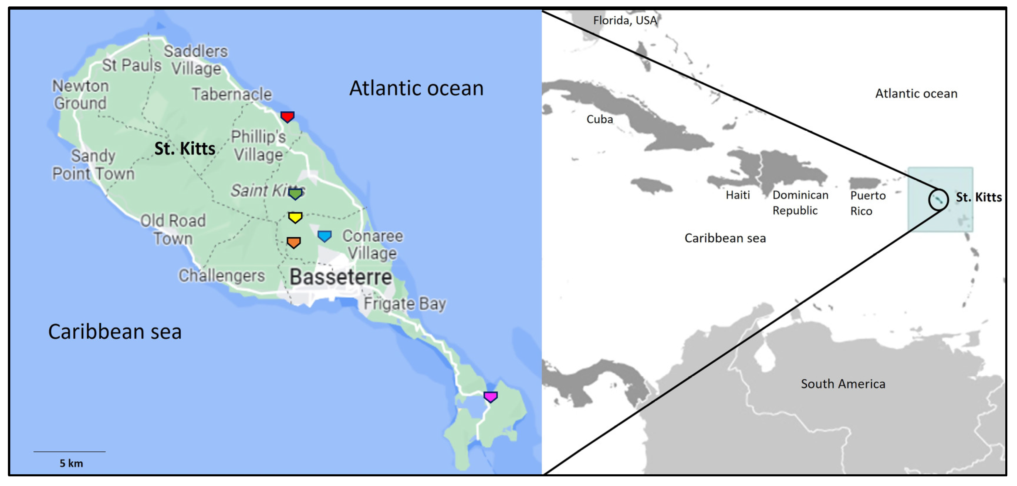 Viruses 15 01605 g001